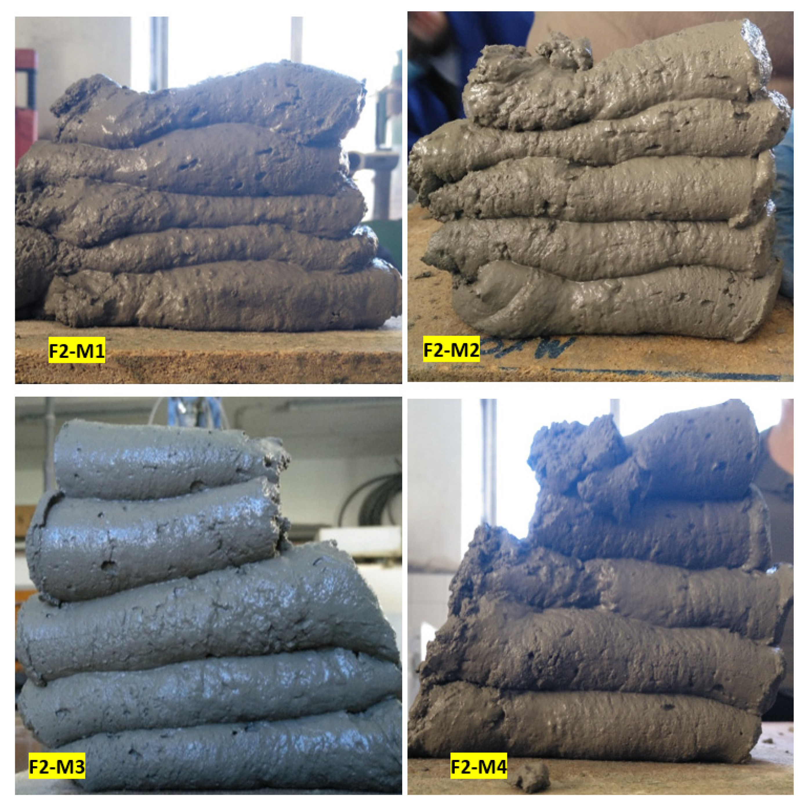 Sustainability 13 01568 g006