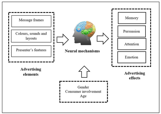 BB Media - Advertising on Streaming Platforms: What Consumers Can Expect