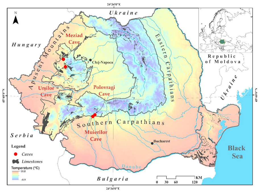 Sustainability 13 01619 g001
