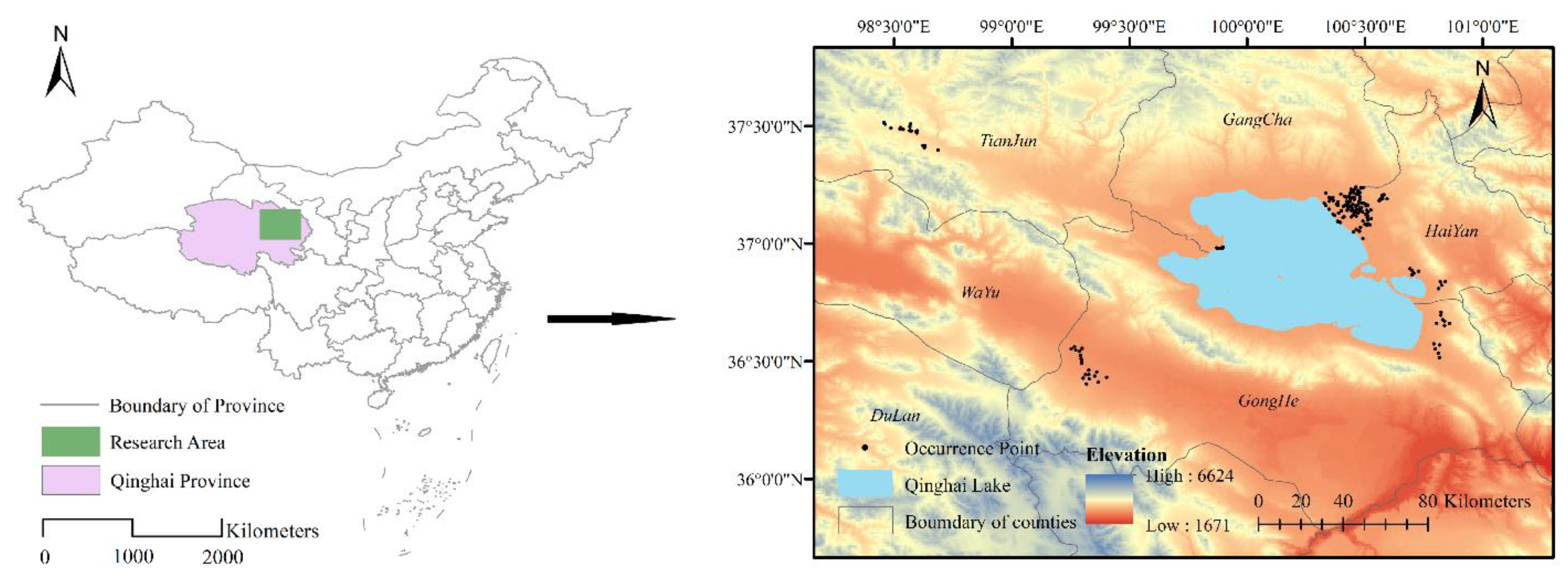 Sustainability 13 01656 g001