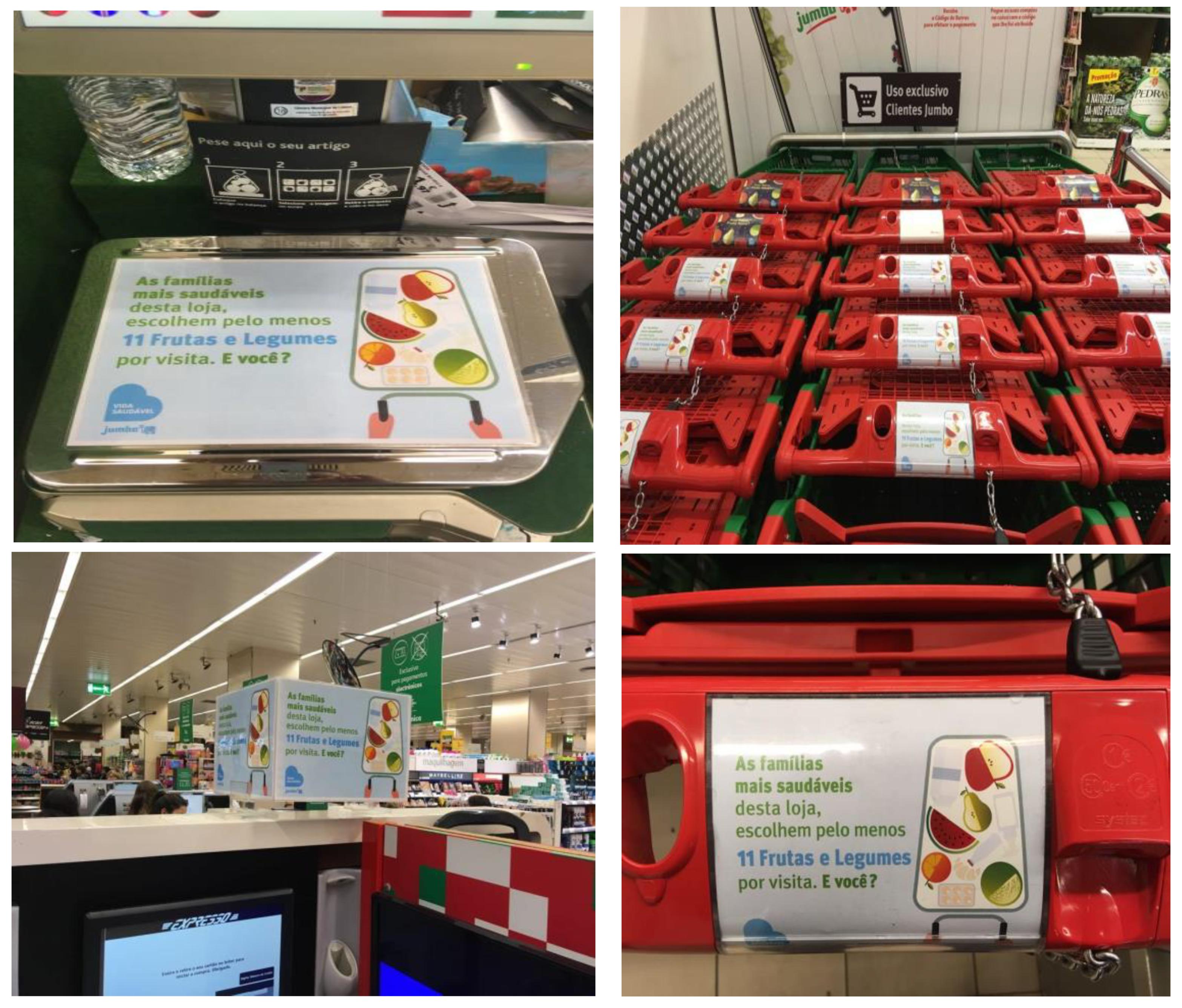 Sustainability 13 01660 g0a1 Sustainability 13 01660 g0a1