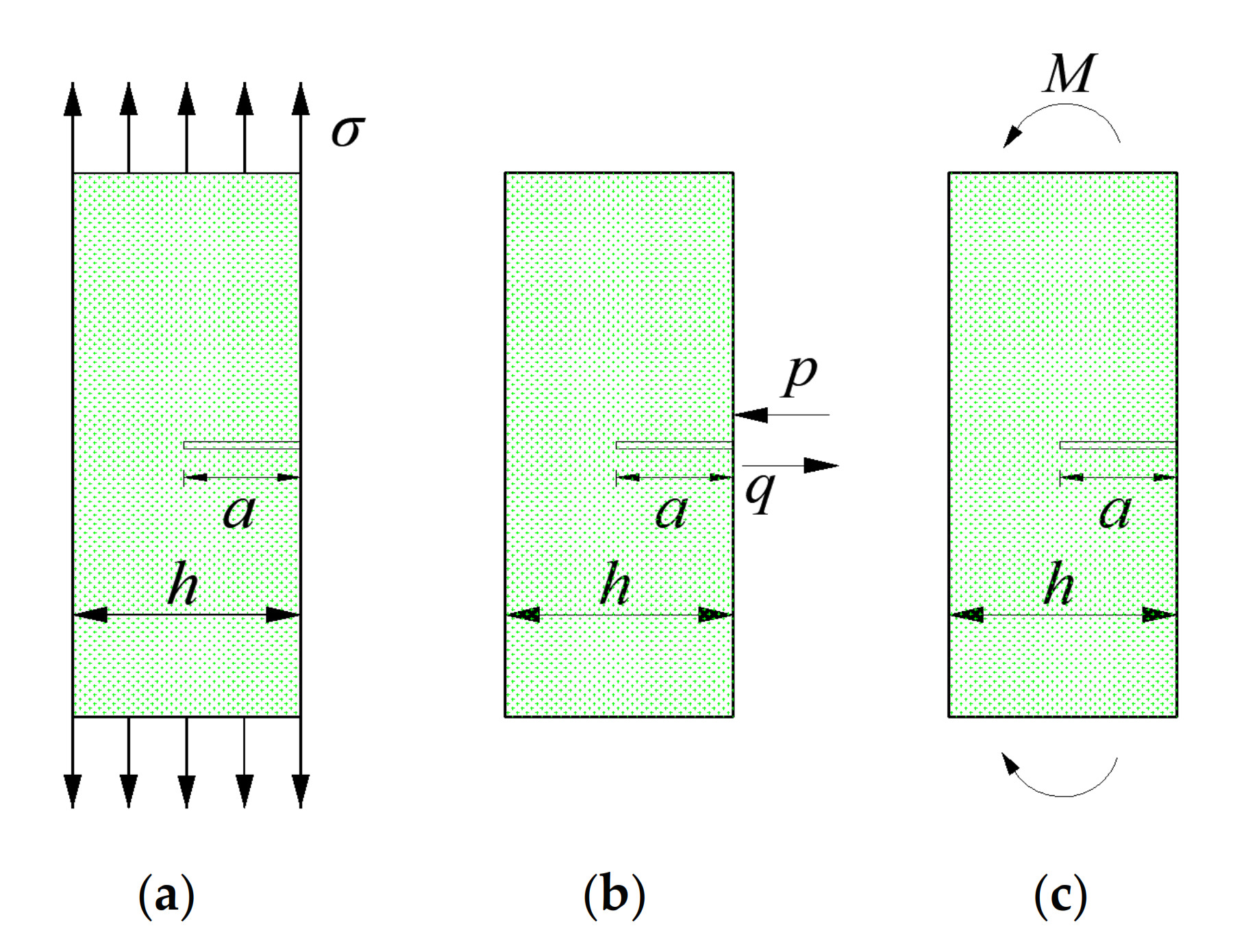 Sustainability 13 01678 g007