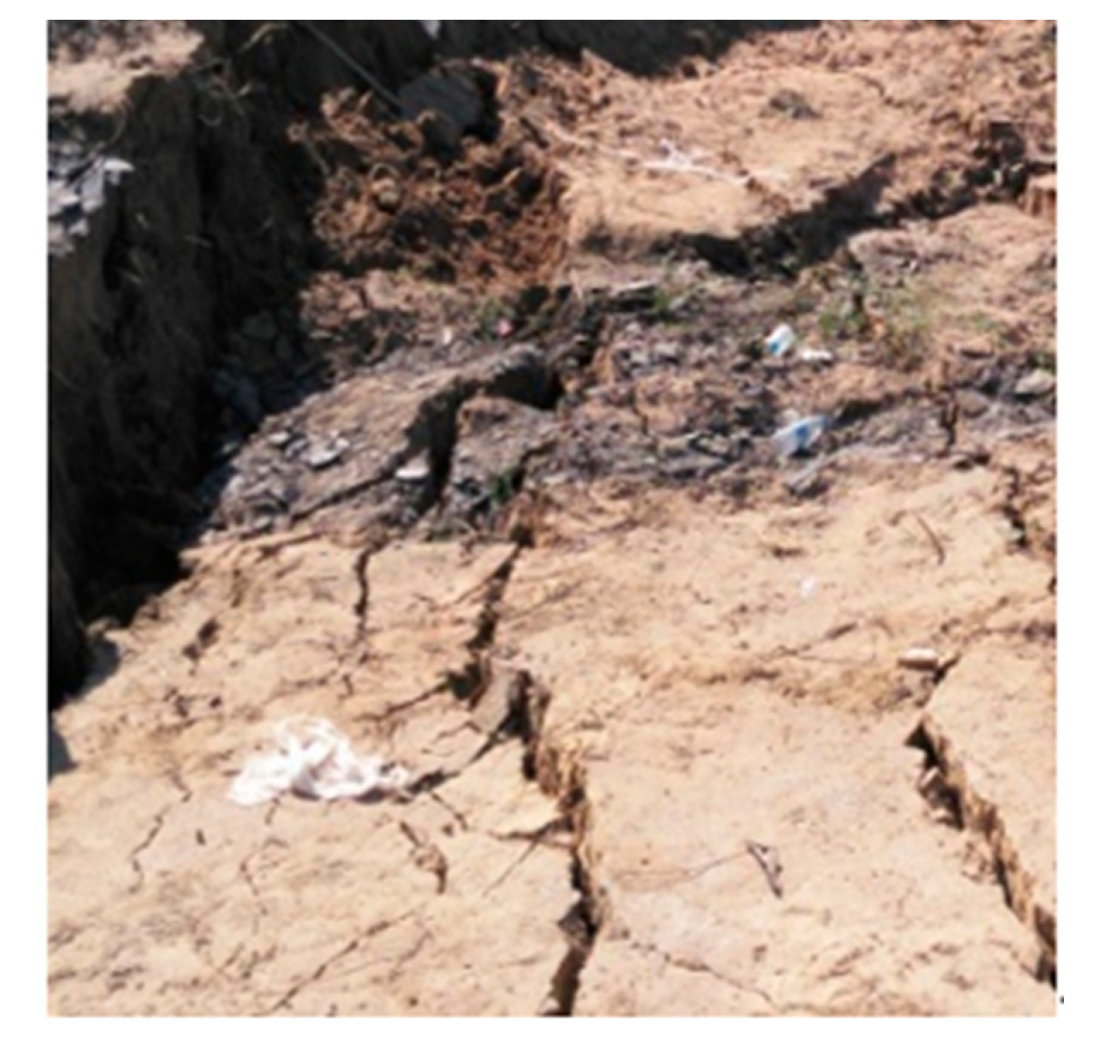 Sustainability 13 01678 g015