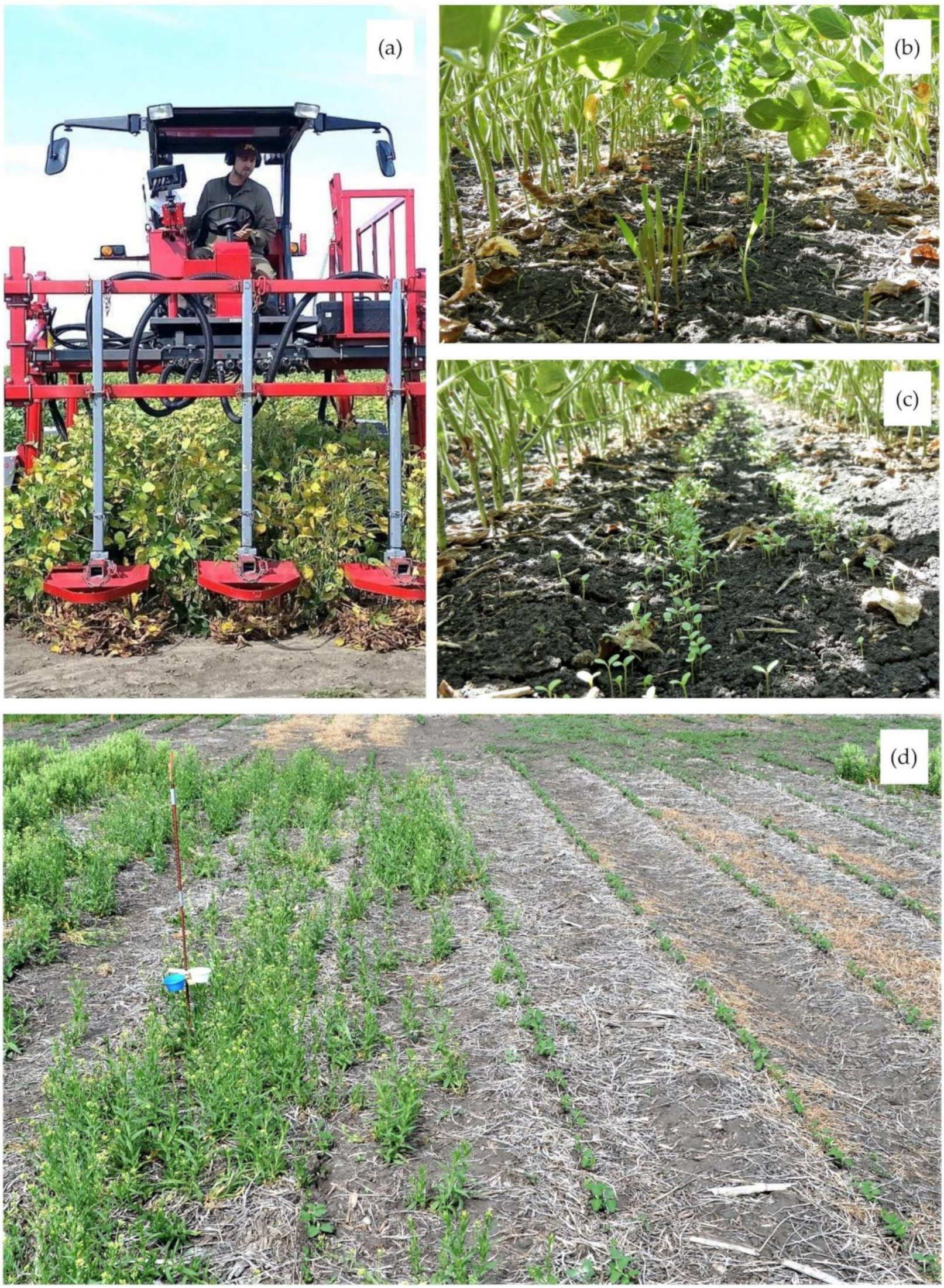 Sustainability 13 01696 g001 Sustainability 13 01696 g001