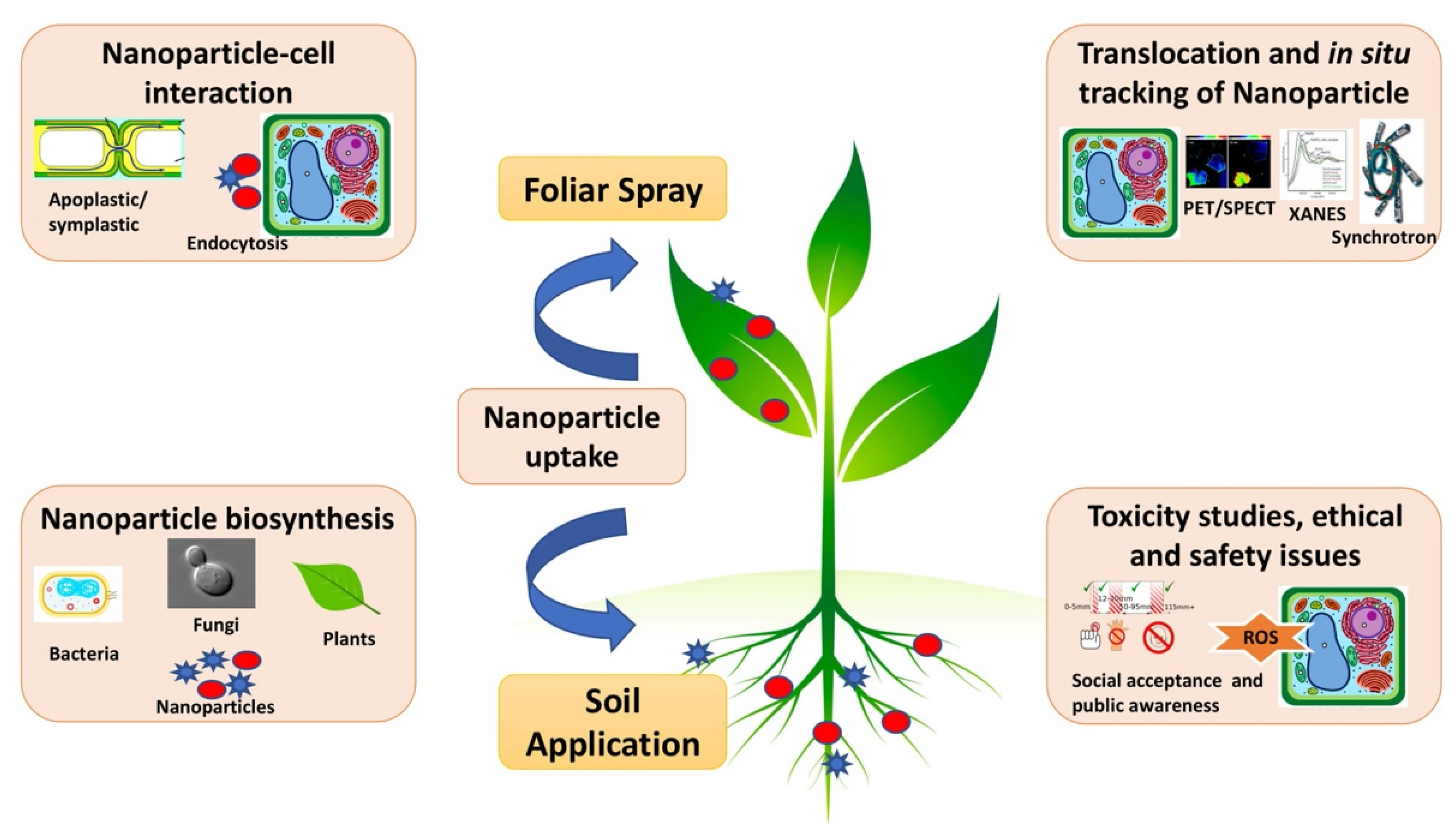 Sustainability 13 01781 g001 Sustainability 13 01781 g001