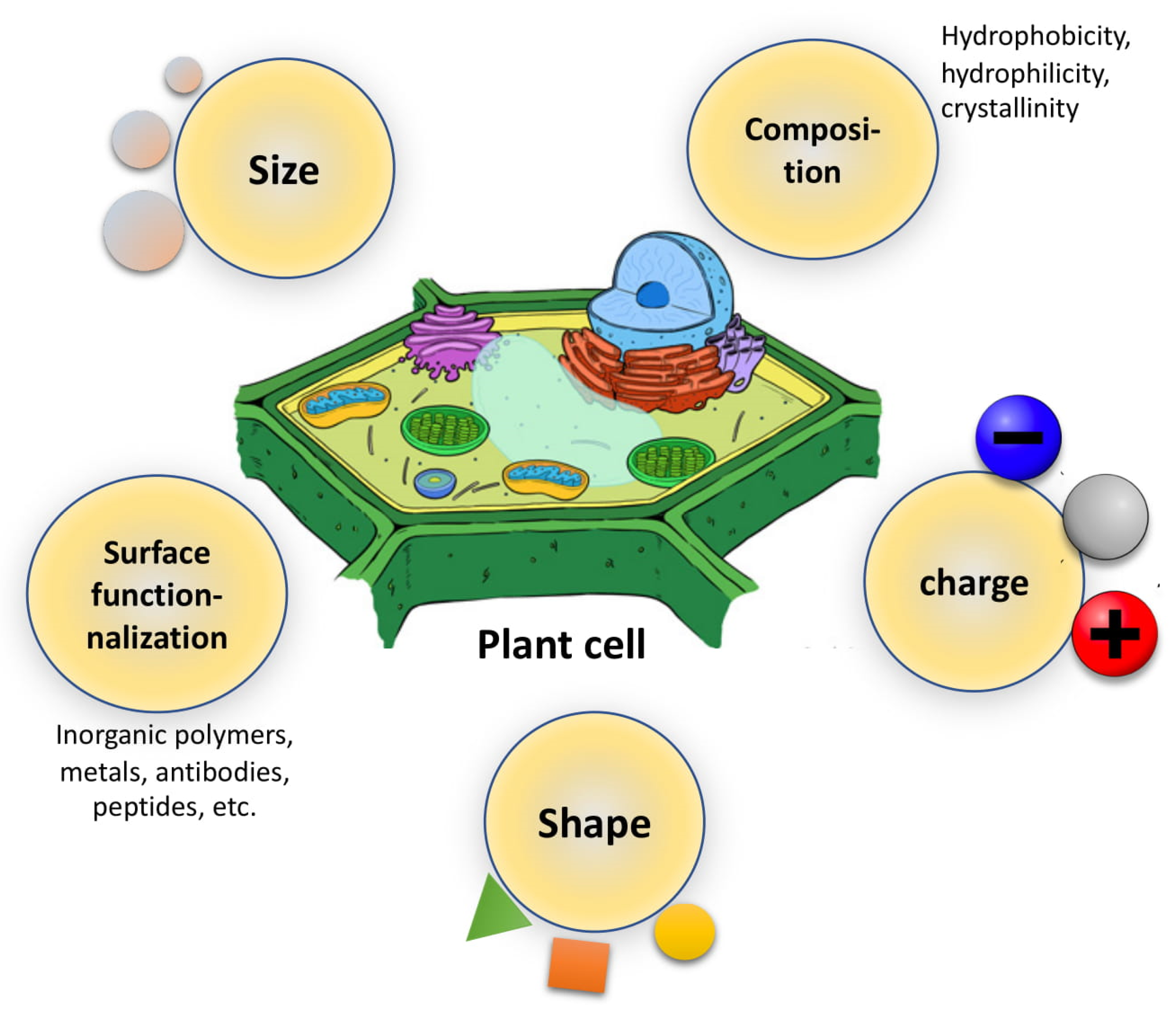 Sustainability 13 01781 g002 Sustainability 13 01781 g002