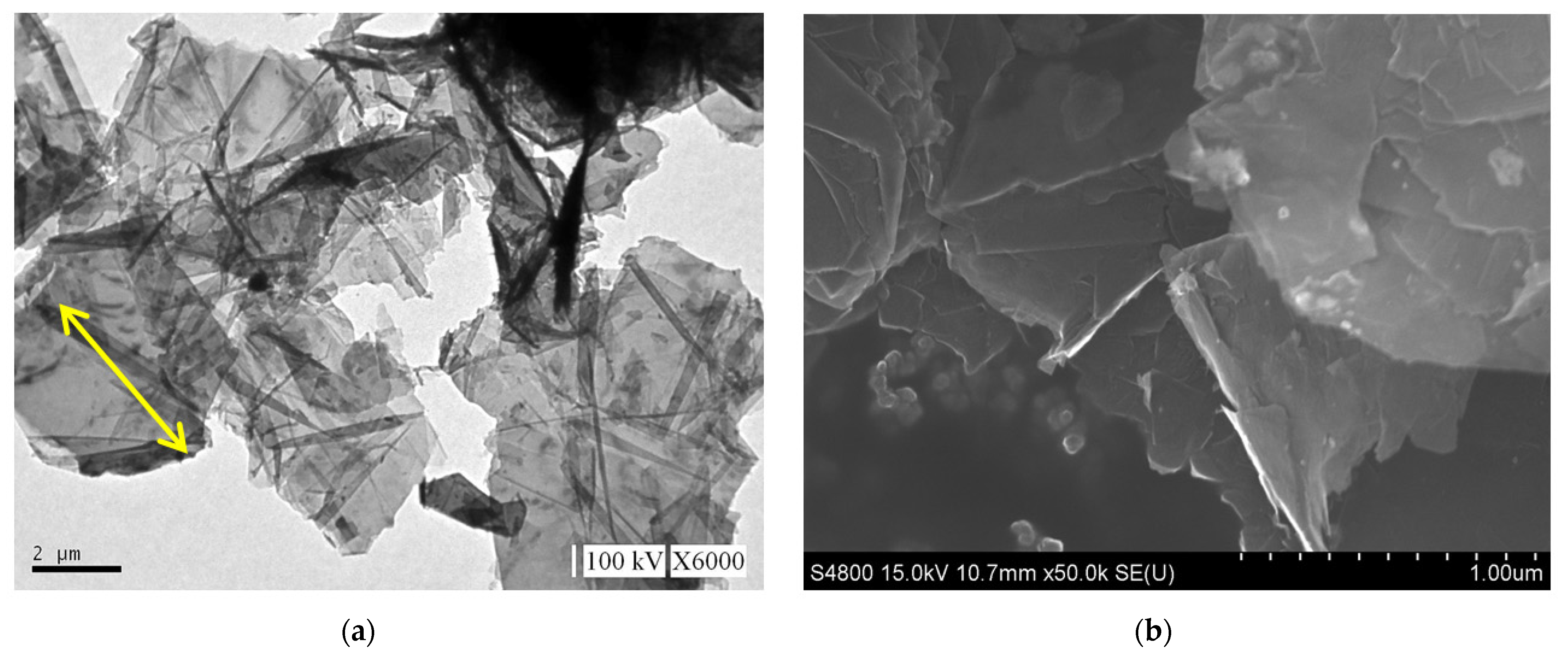 Sustainability 13 01788 g004a Sustainability 13 01788 g004a