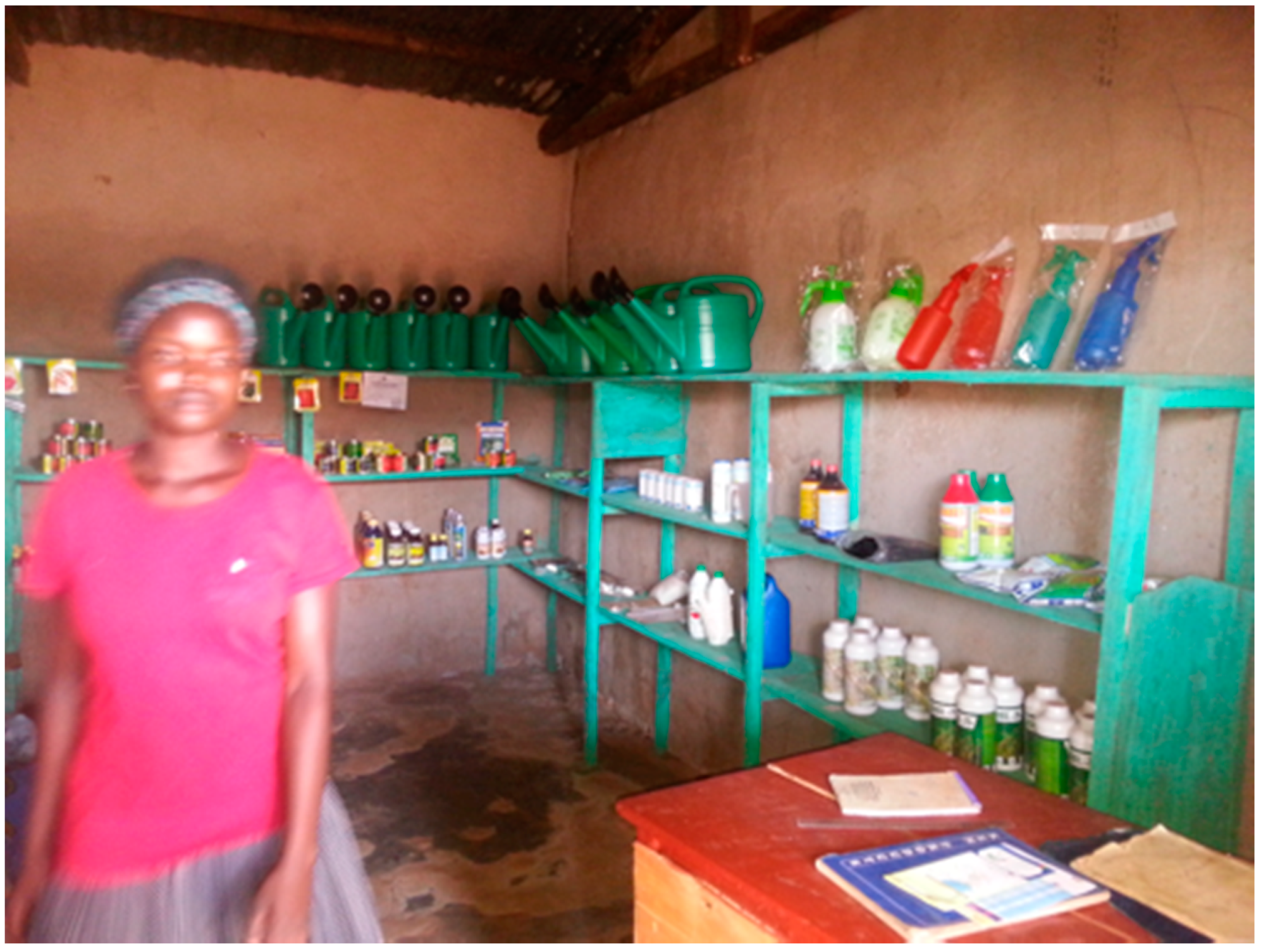 Sustainability 13 01797 sch002 Sustainability 13 01797 sch002