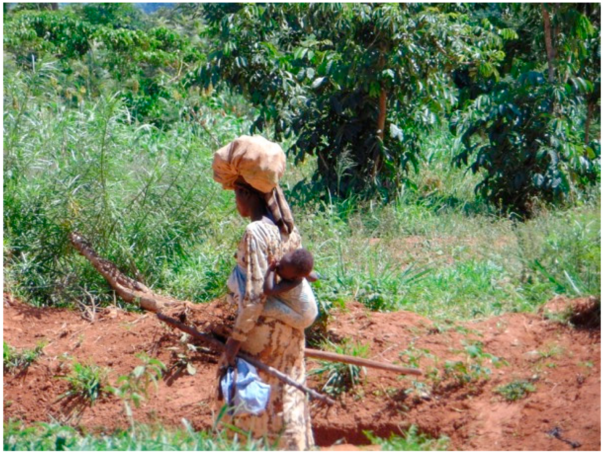 Sustainability 13 01797 sch004 Sustainability 13 01797 sch004