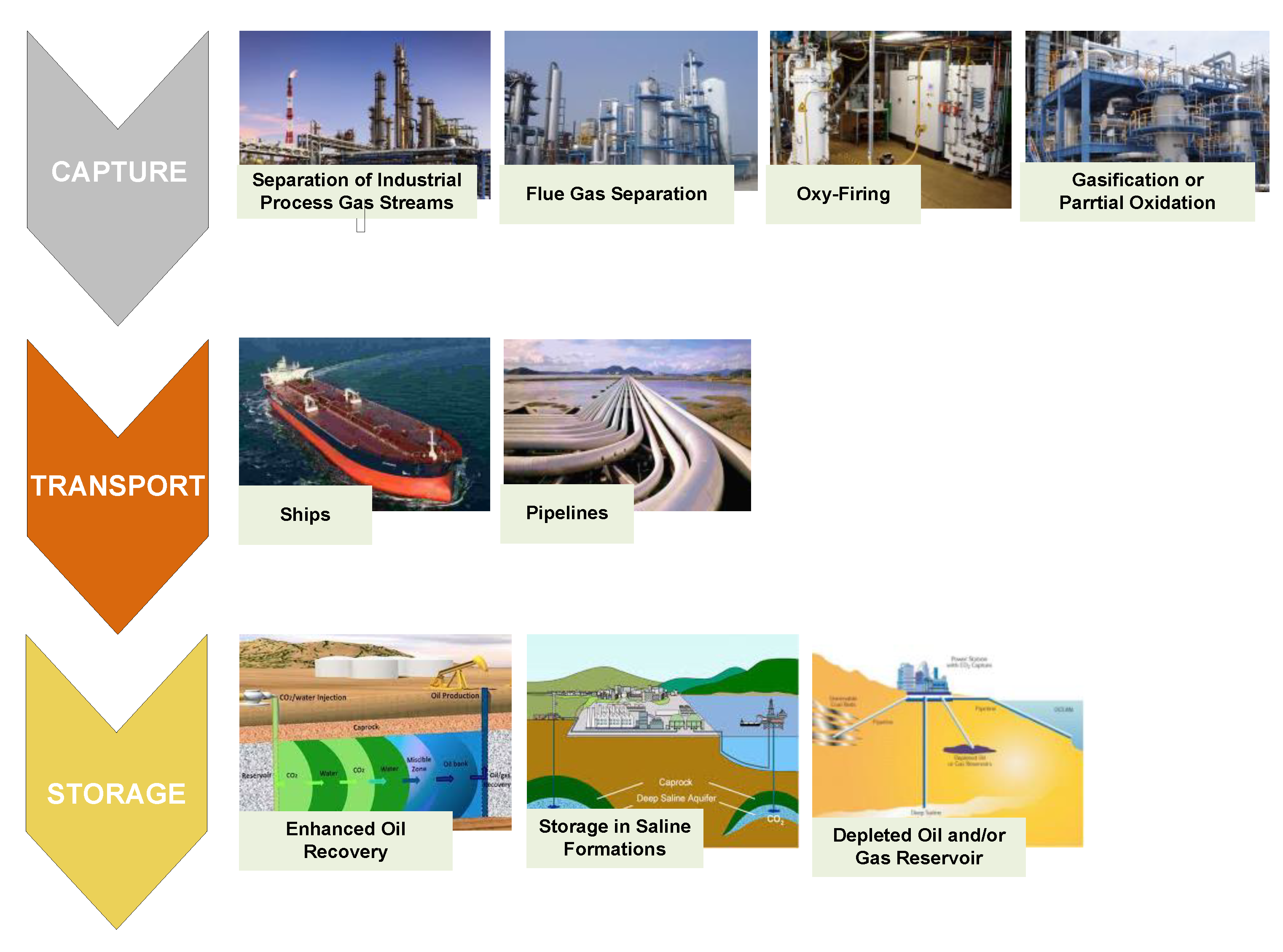 Sustainability 13 01800 g002