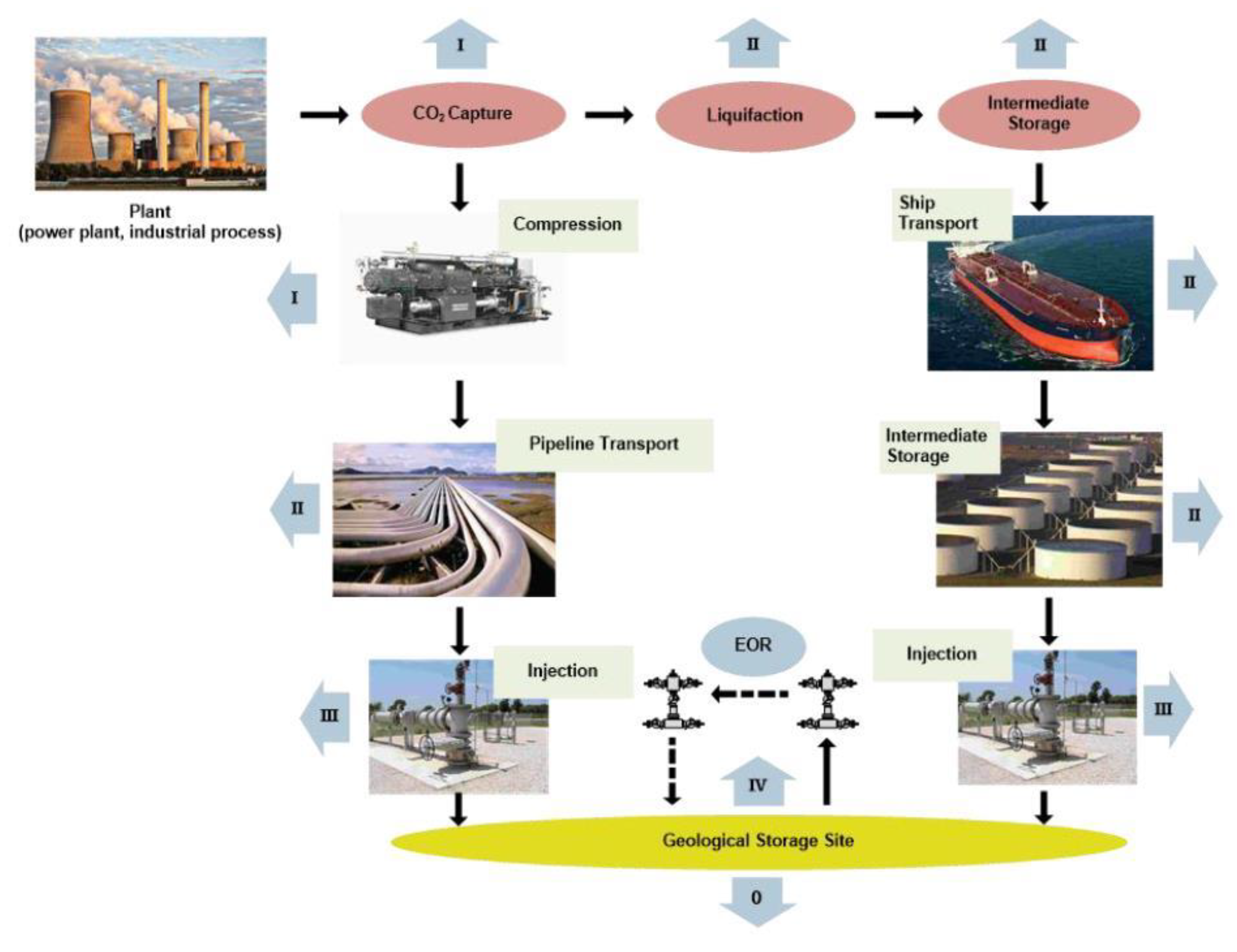 Sustainability 13 01800 g007