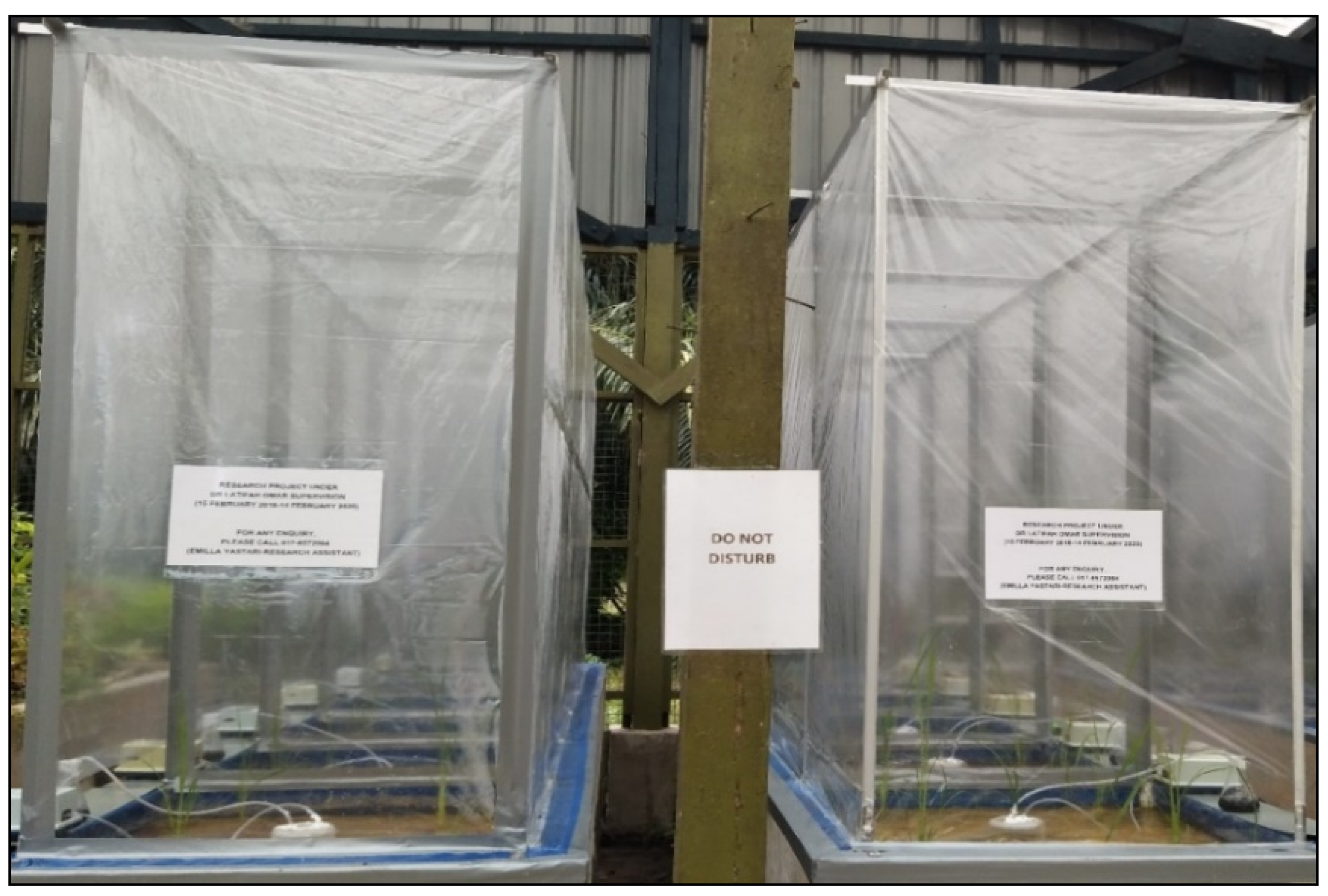 Sustainability 13 01832 g001