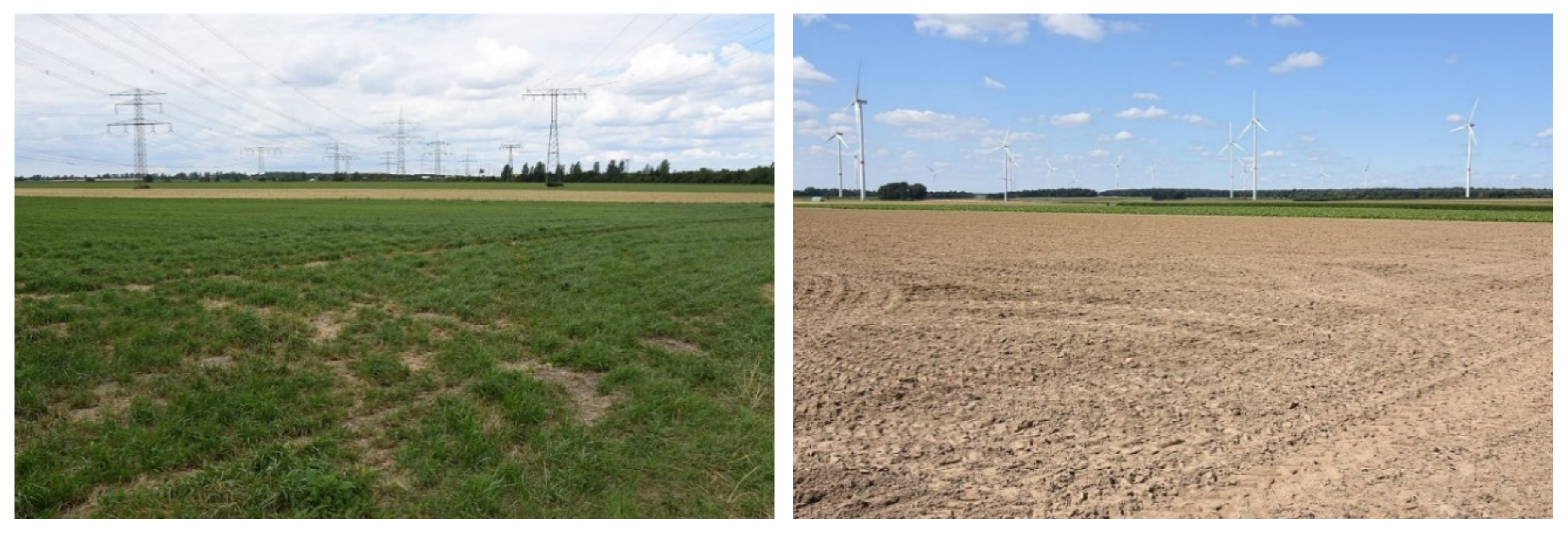 Sustainability 13 01891 g006