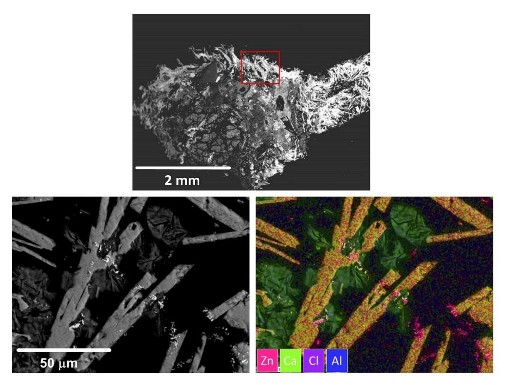 Sustainability 13 01911 g007 Sustainability 13 01911 g007