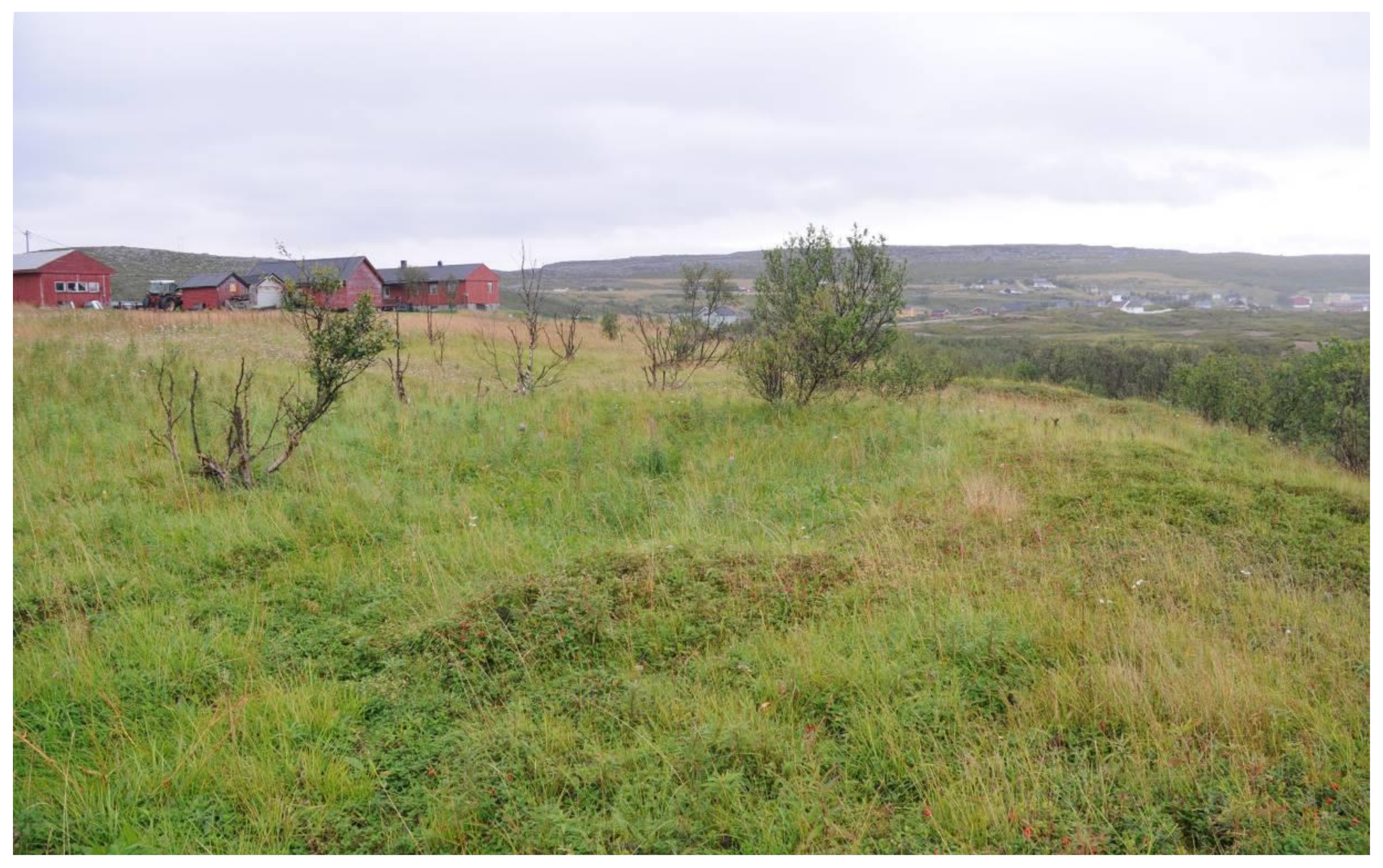 Sustainability 13 01917 g003 Sustainability 13 01917 g003