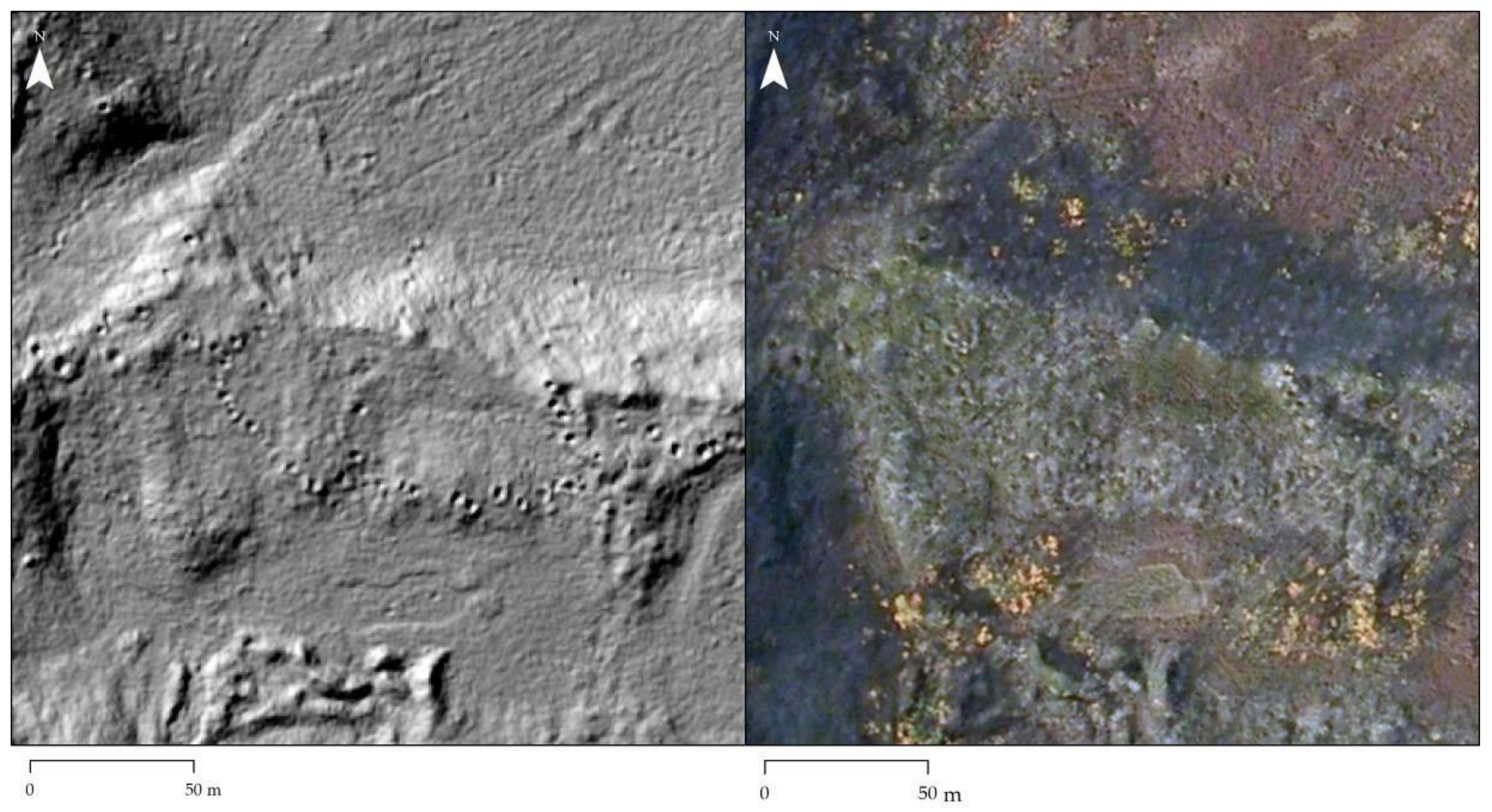 Sustainability 13 01917 g004 Sustainability 13 01917 g004