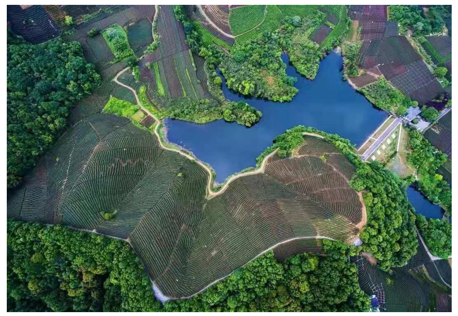 Sustainability 13 01920 g003