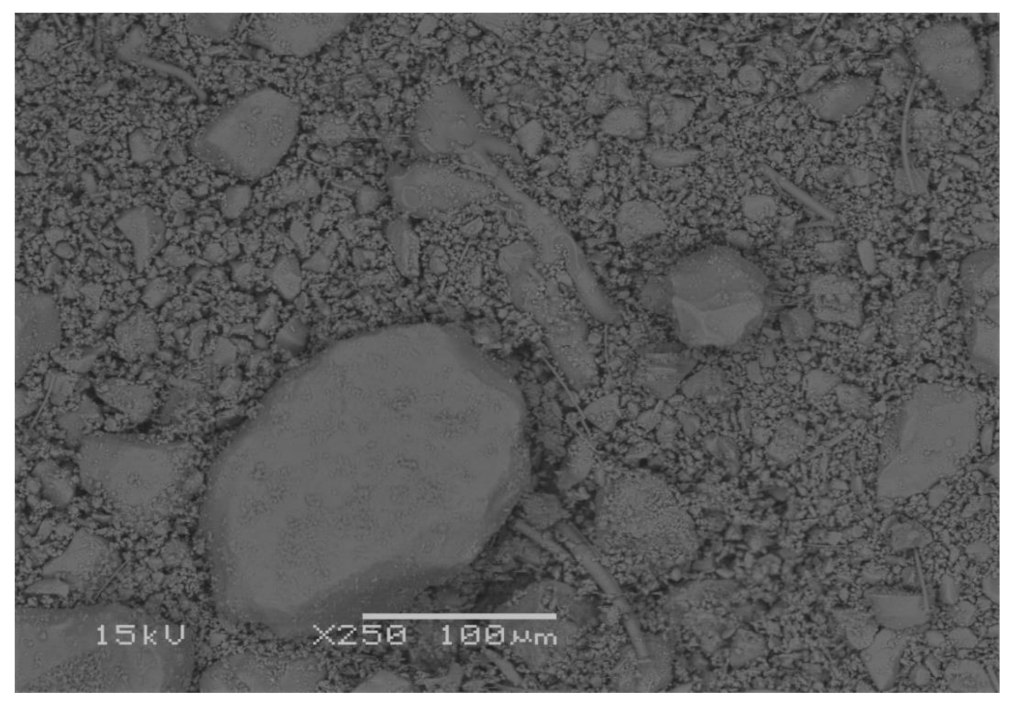 Sustainability 13 01970 g001 Sustainability 13 01970 g001