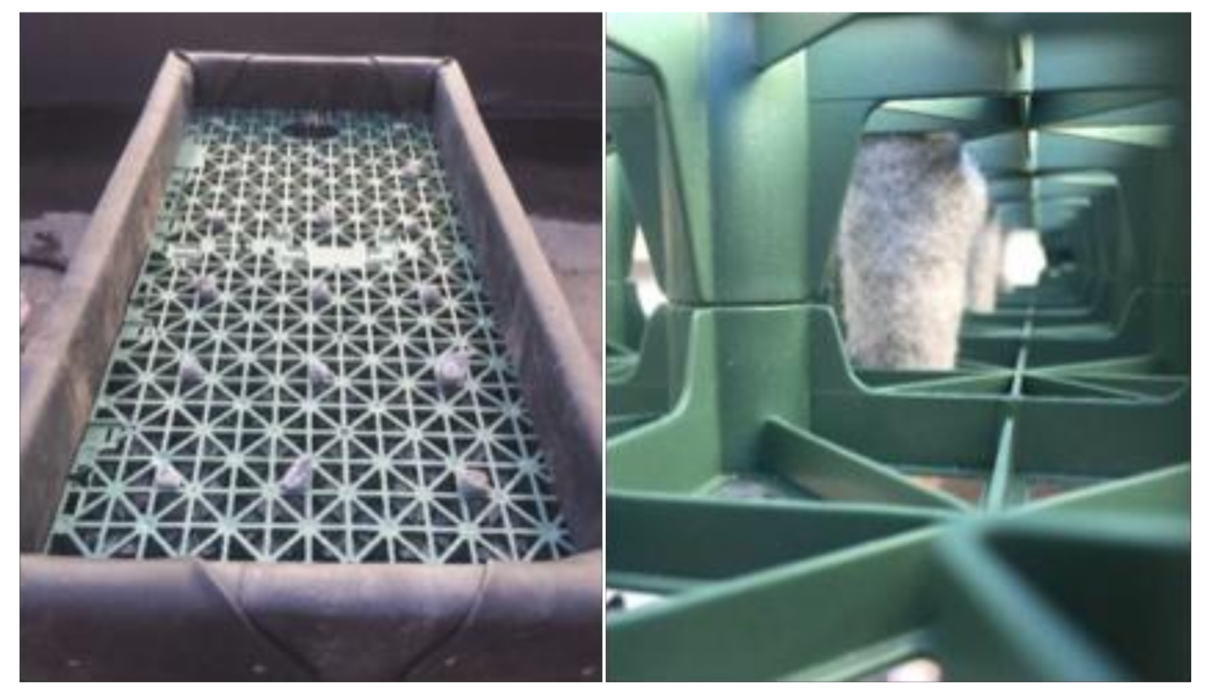 Sustainability 13 01972 g001 Sustainability 13 01972 g001