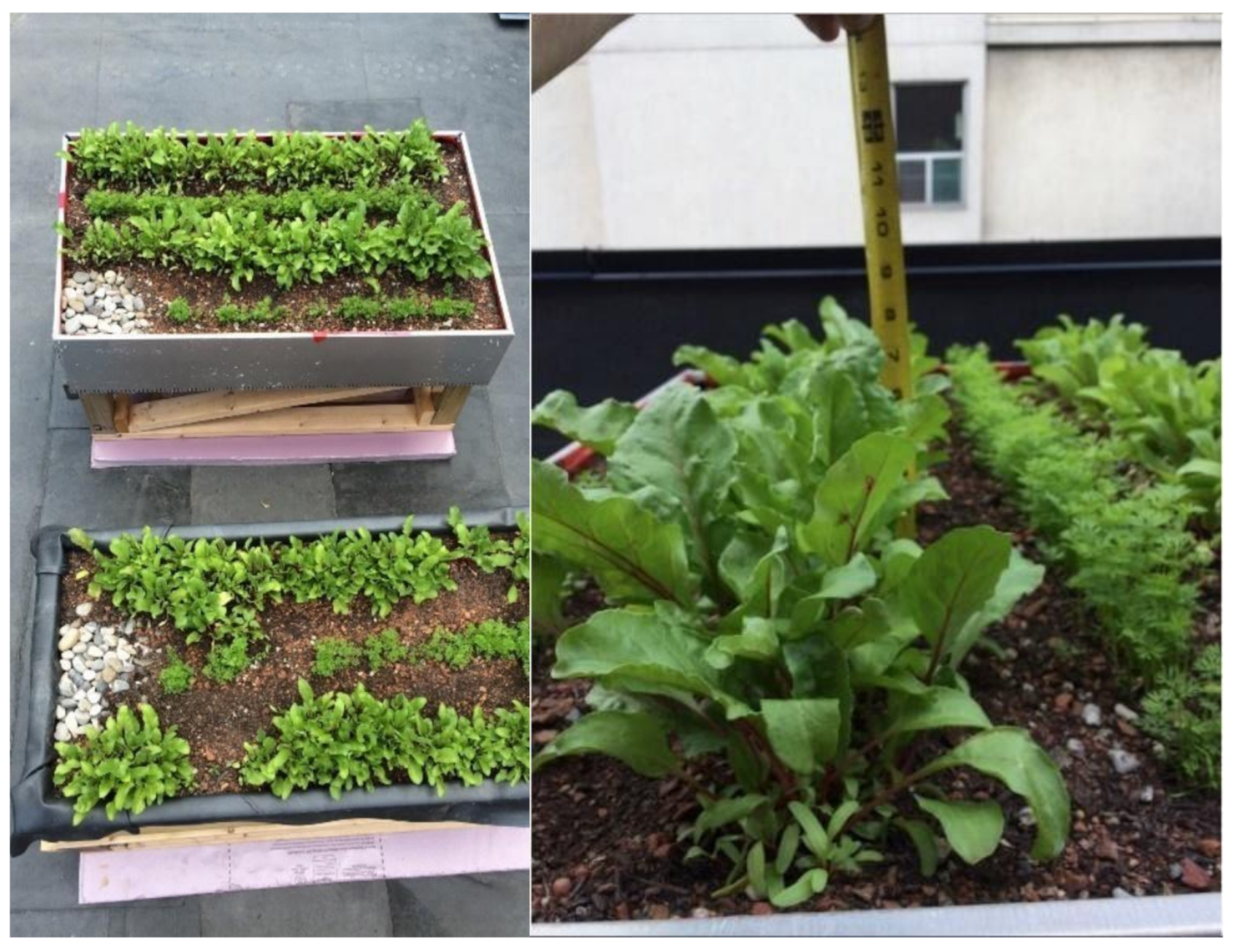 Sustainability 13 01972 g003 Sustainability 13 01972 g003