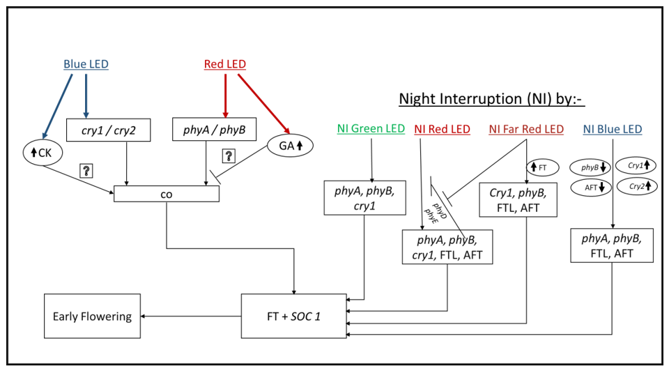 Sustainability 13 01985 g002 Sustainability 13 01985 g002