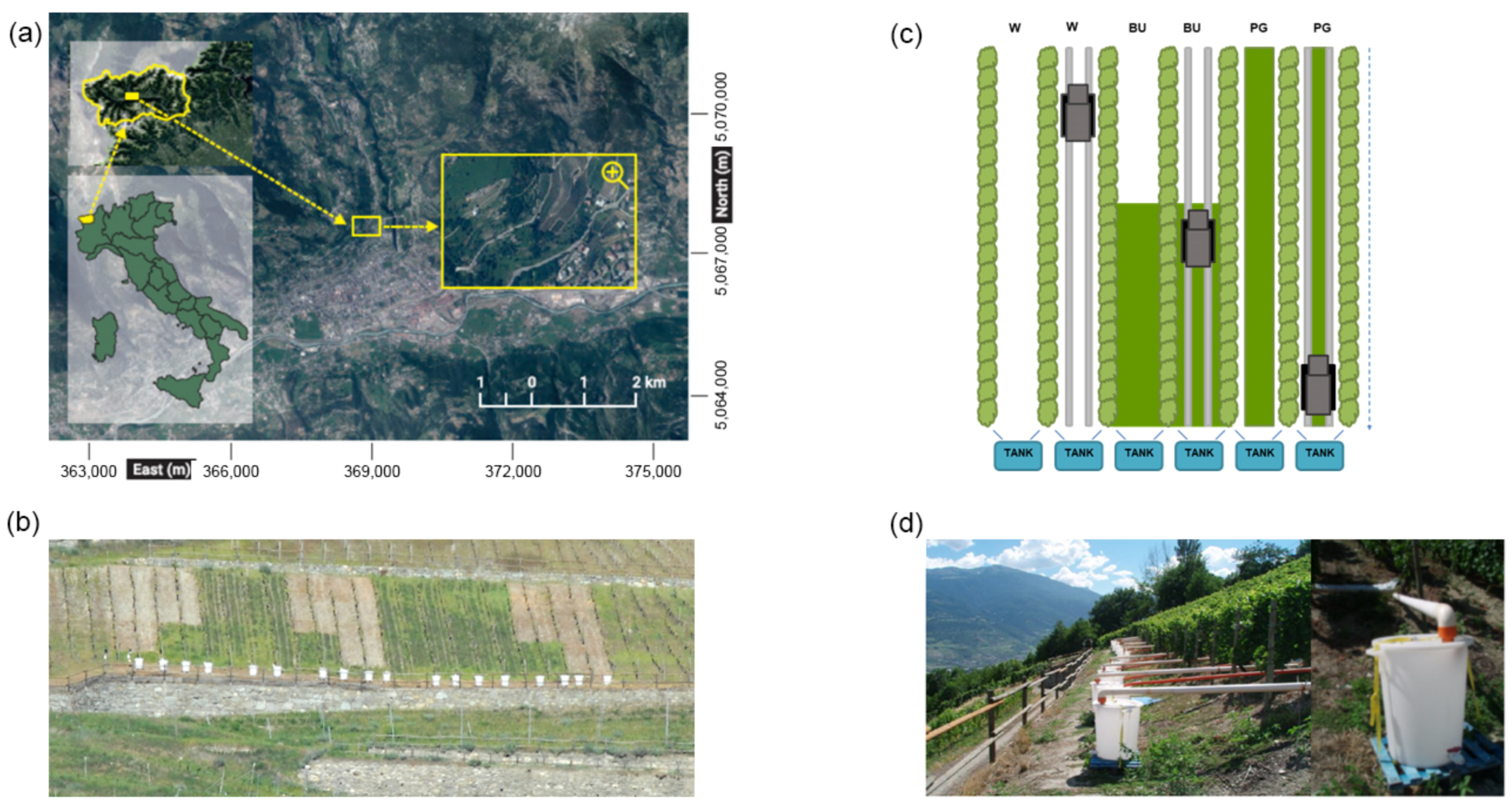 Sustainability 13 01991 g001