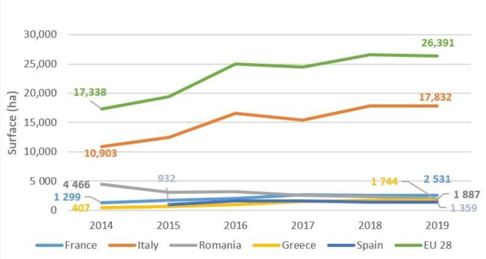 Sustainability 13 02001 g002