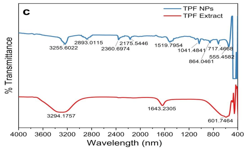 Sustainability 13 02004 g005b Sustainability 13 02004 g005b
