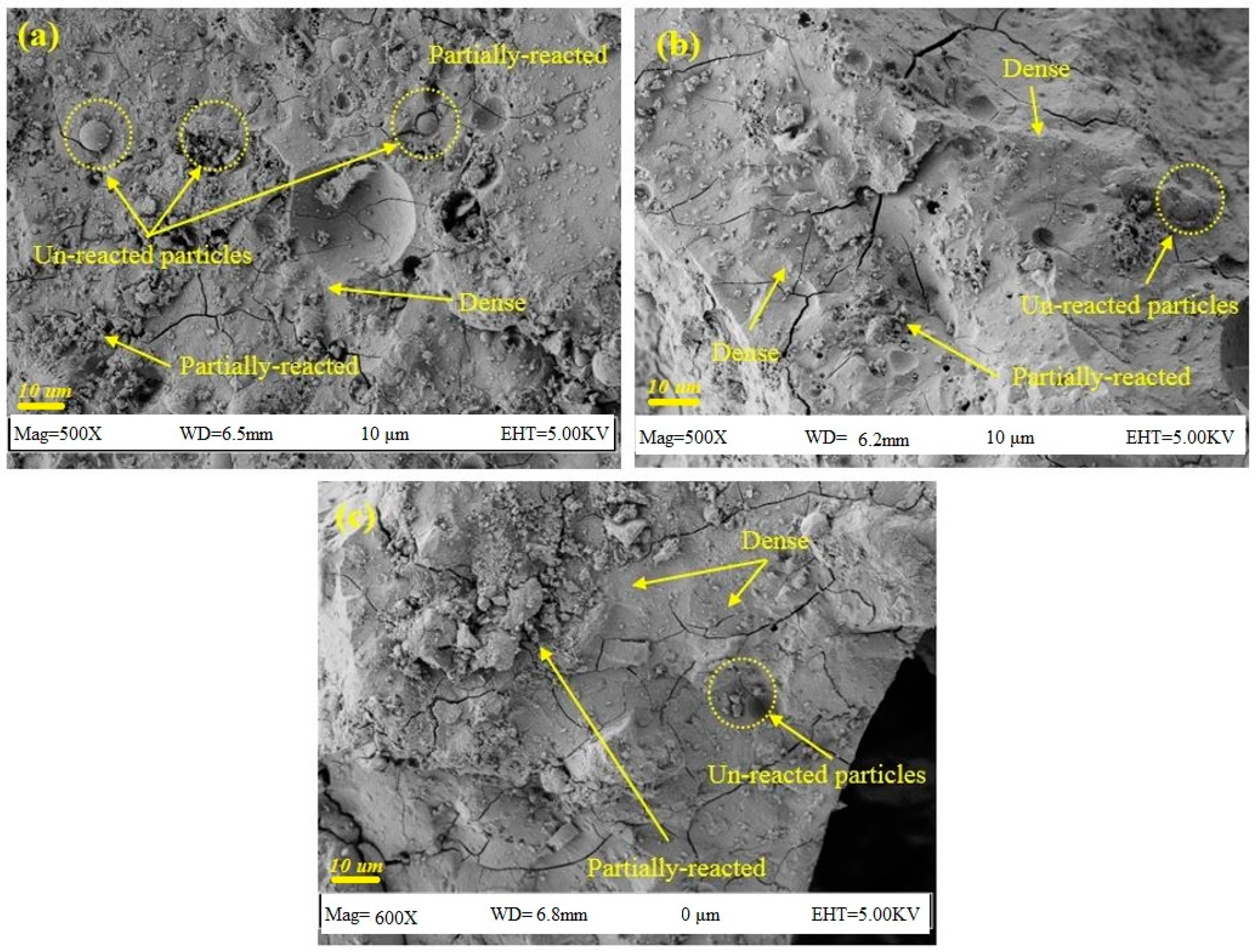 Sustainability 13 02062 g002