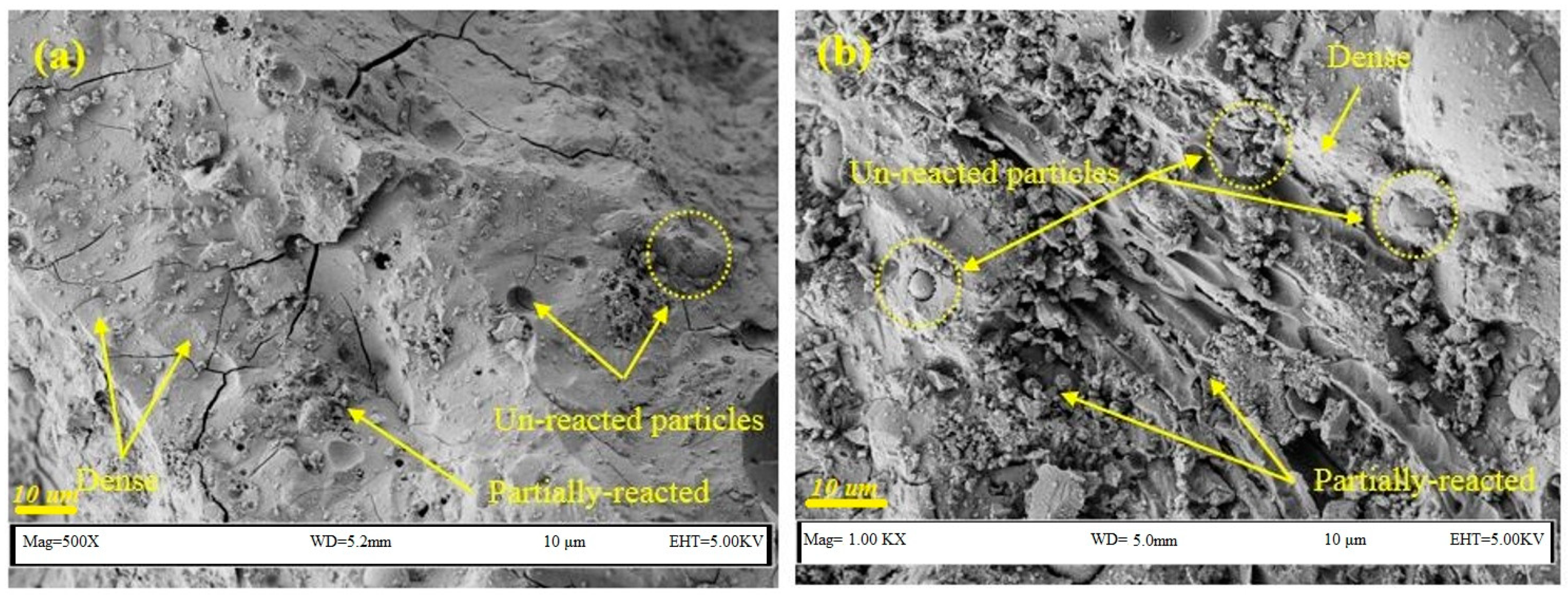 Sustainability 13 02062 g003