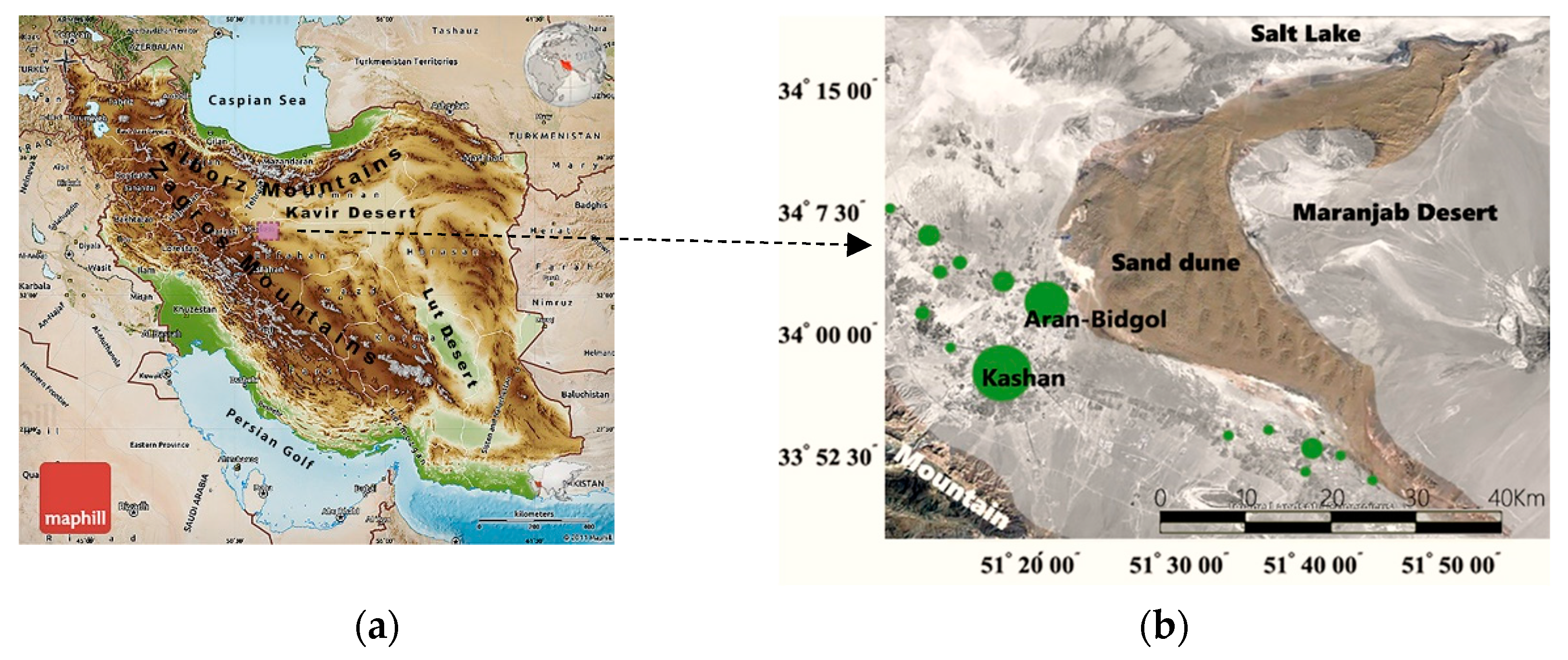 Sustainability 13 02077 g001