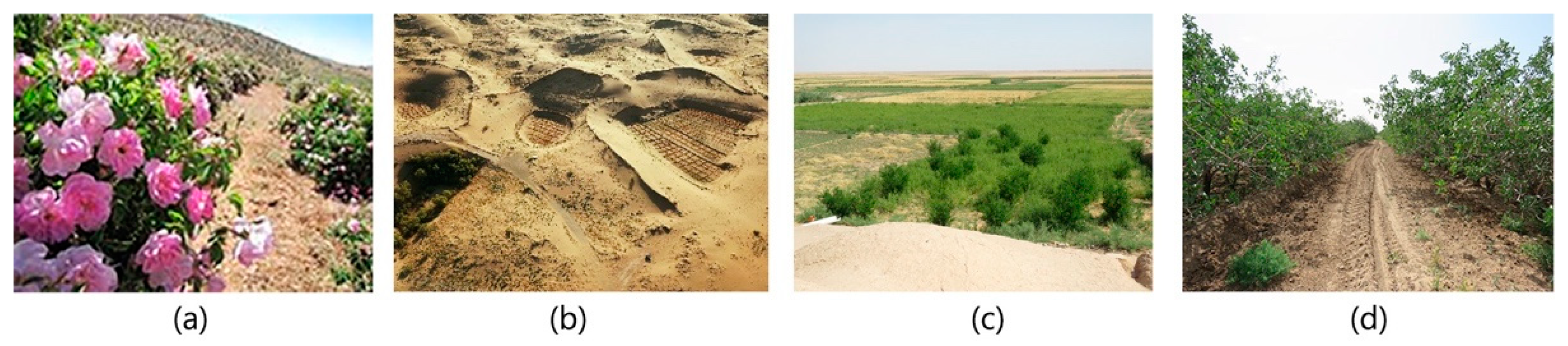 Sustainability 13 02077 g010