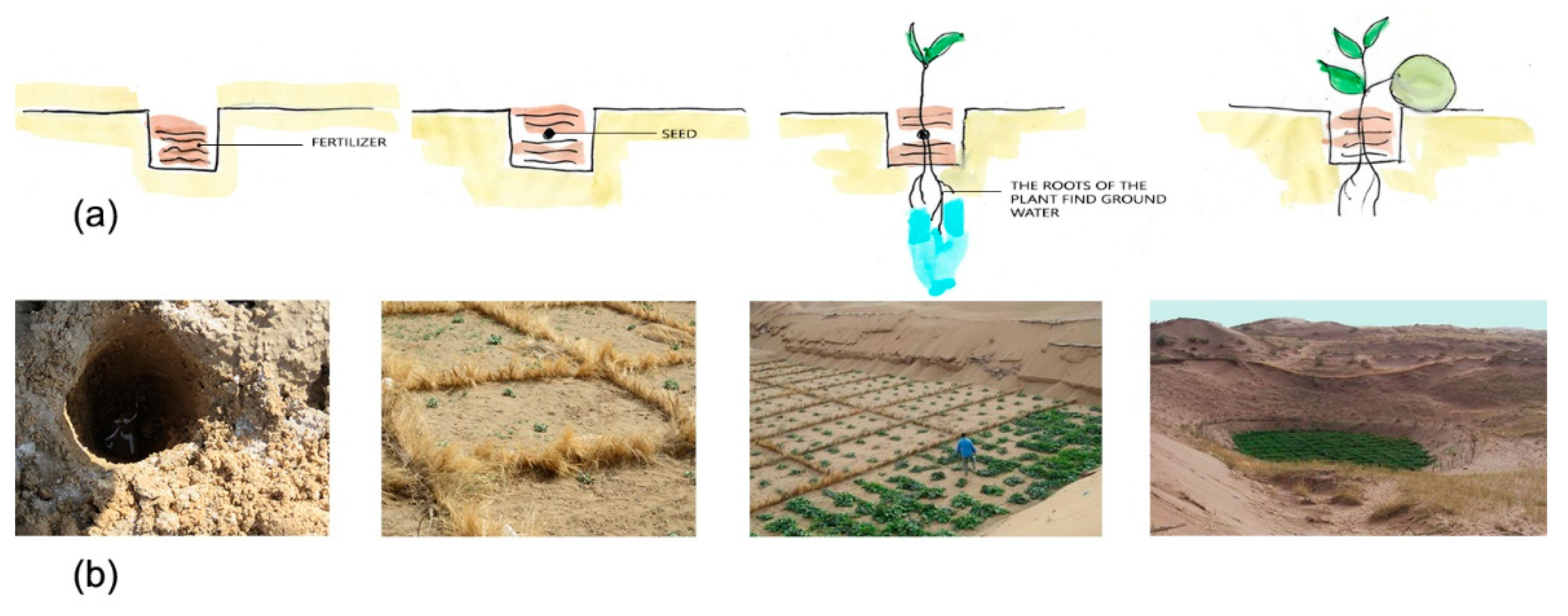 Sustainability 13 02077 g011