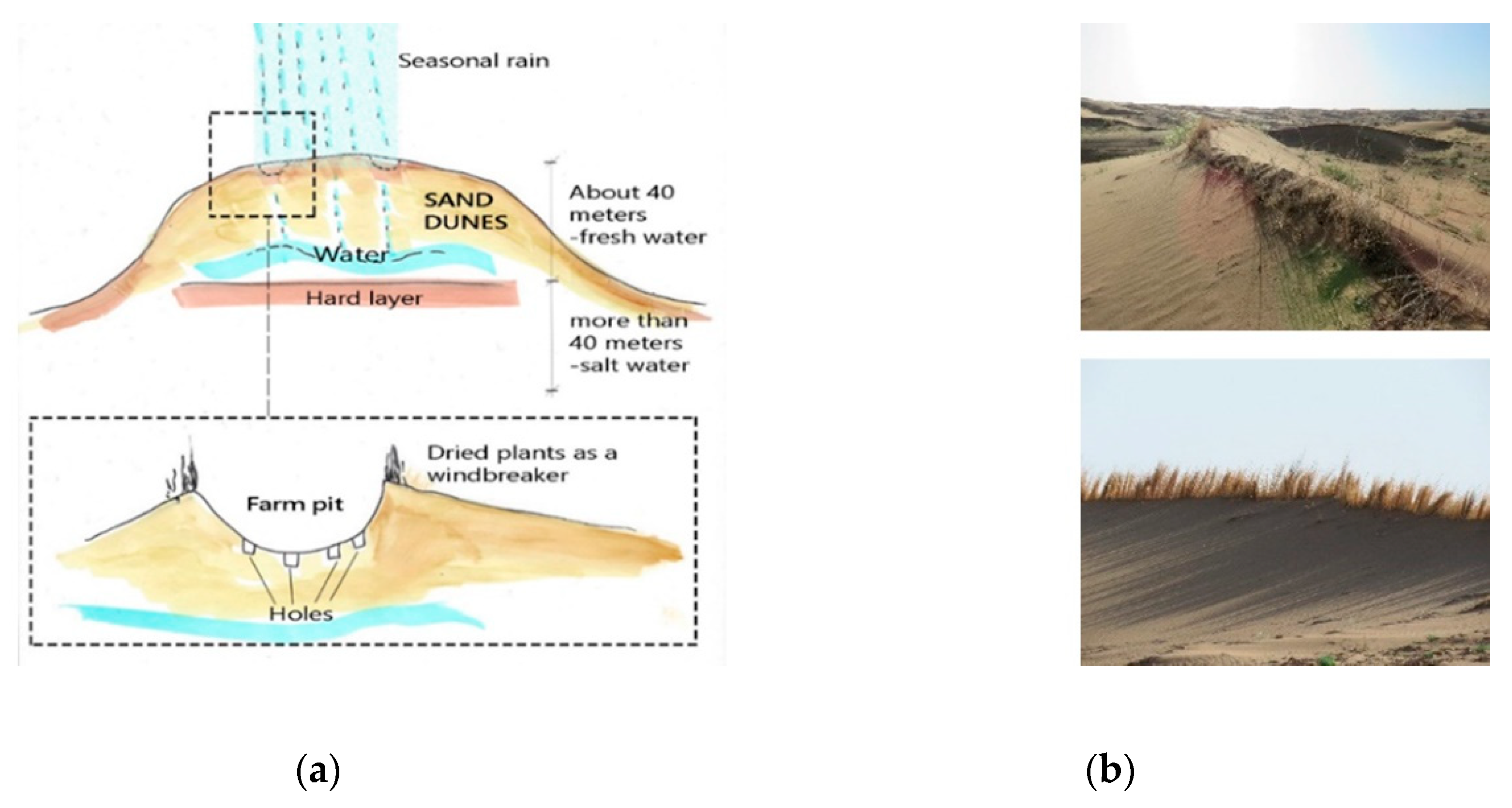 Sustainability 13 02077 g012