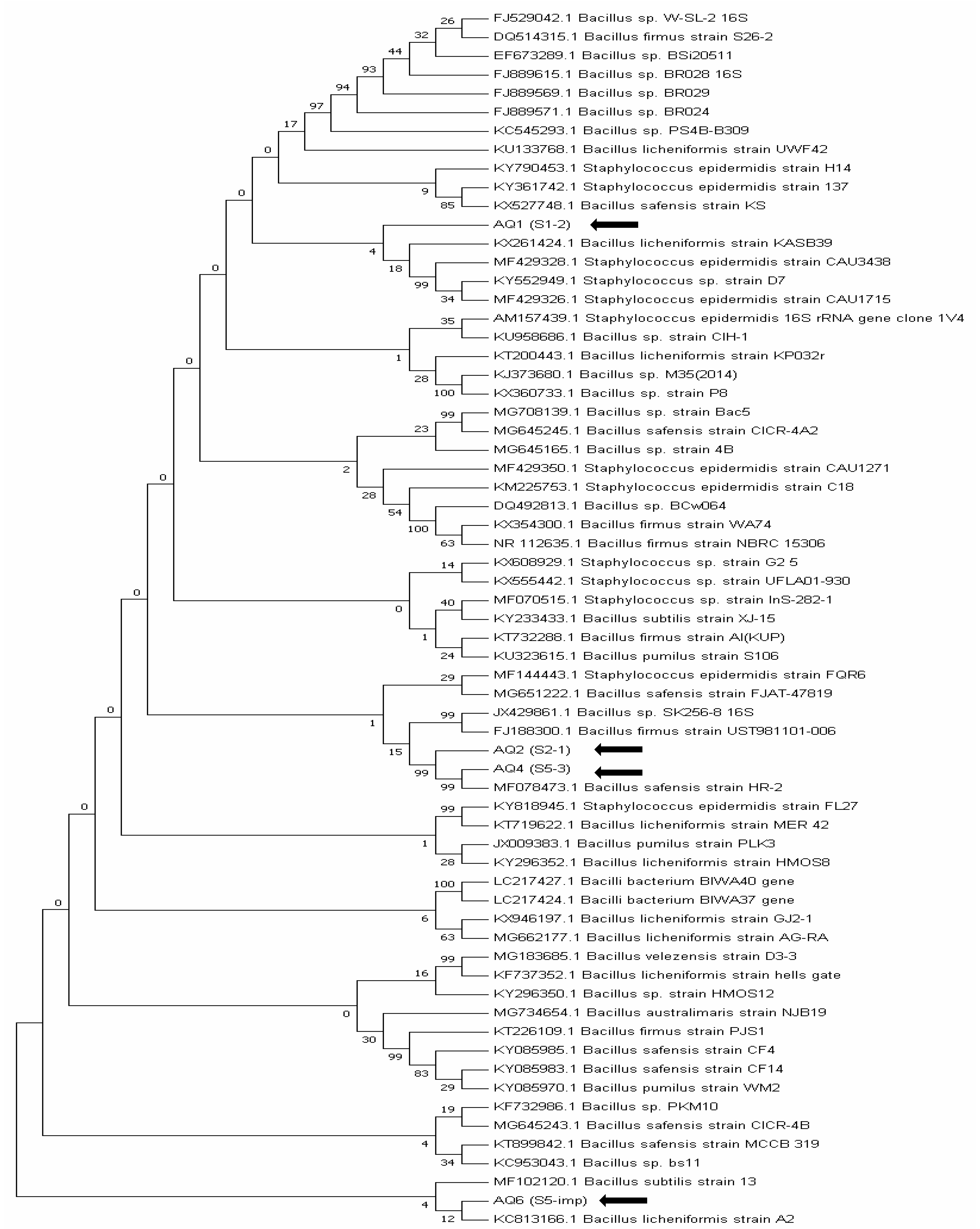 Sustainability 13 02151 g002 Sustainability 13 02151 g002