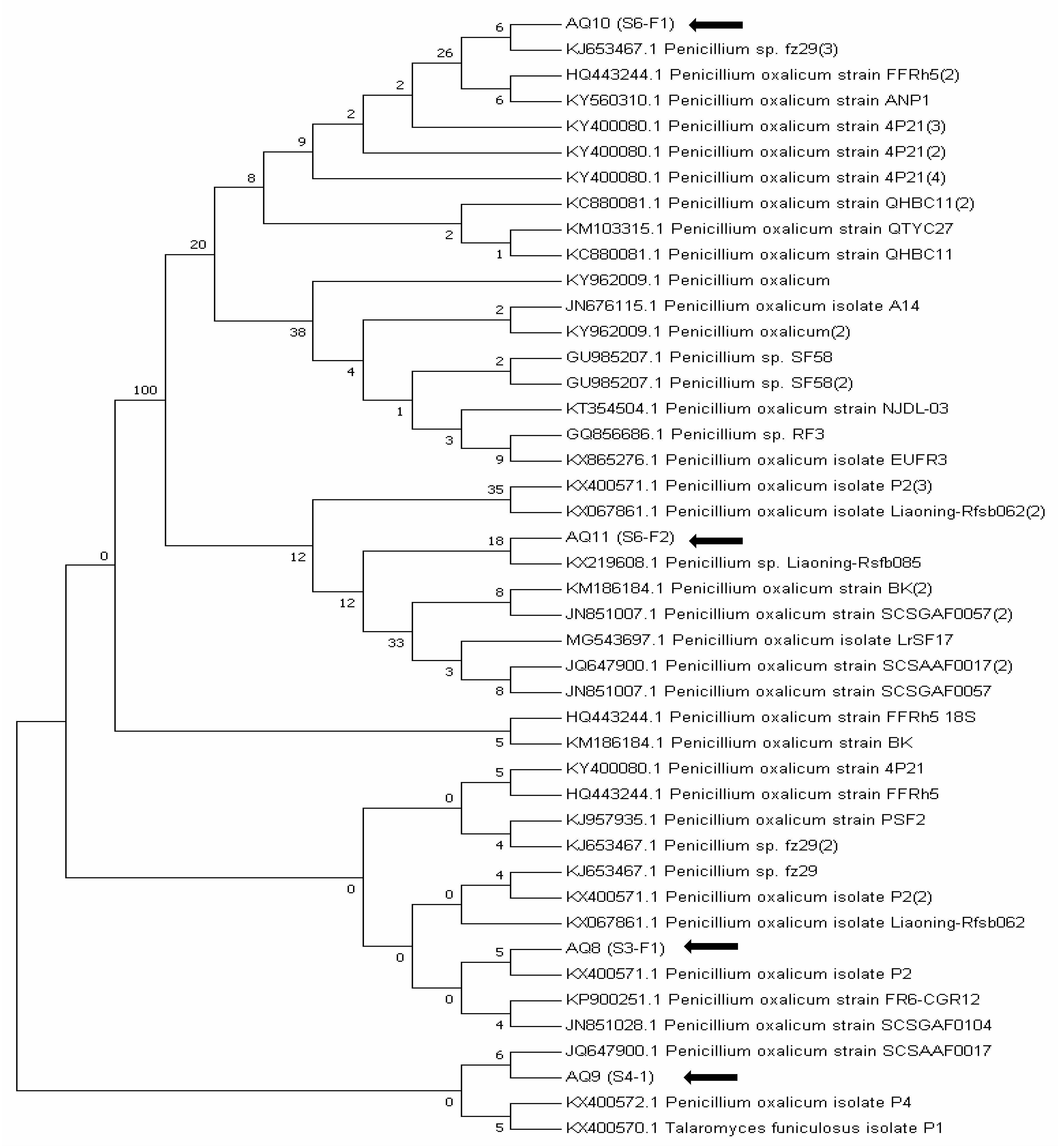 Sustainability 13 02151 g003 Sustainability 13 02151 g003