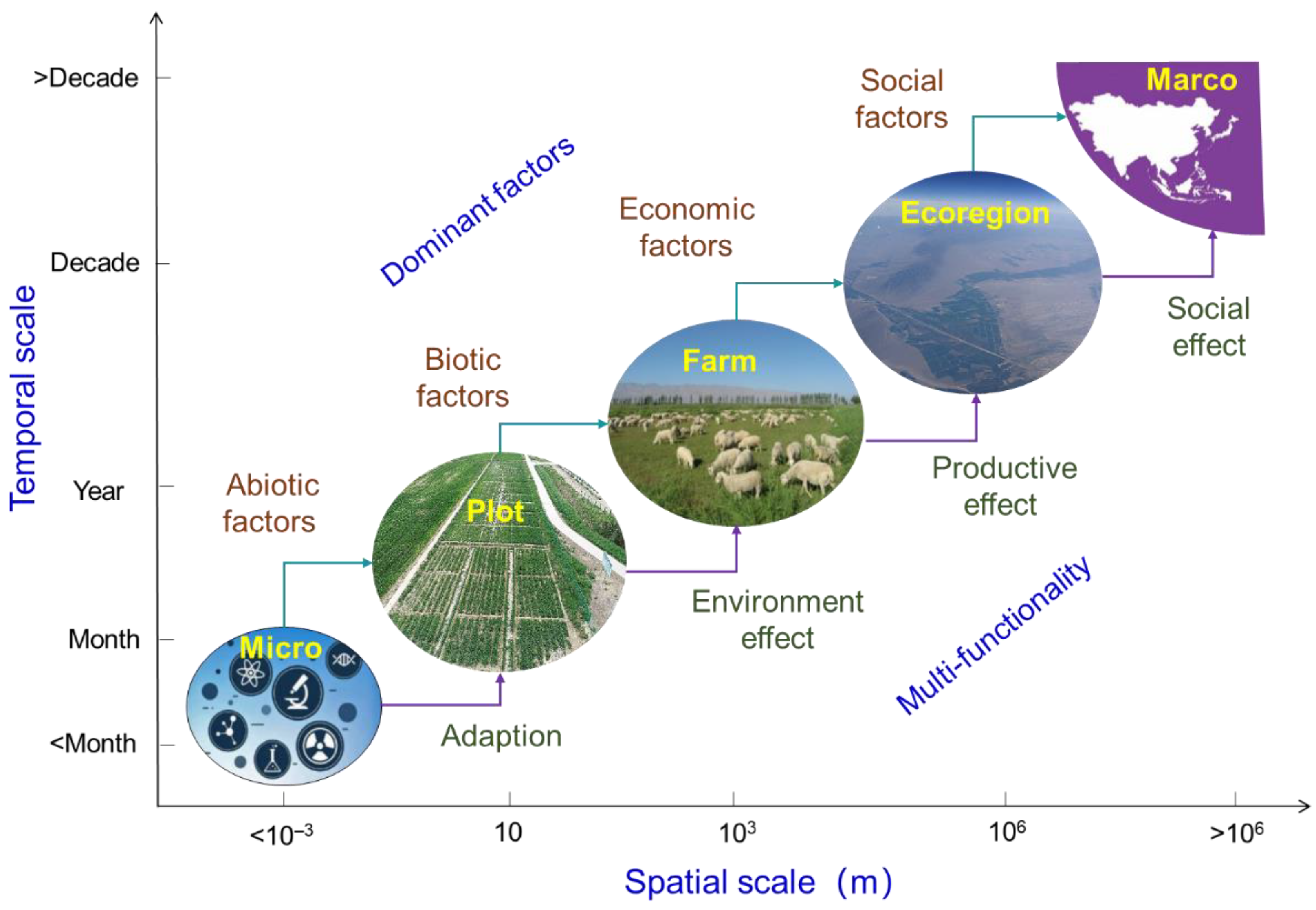 Sustainability 13 02163 g001