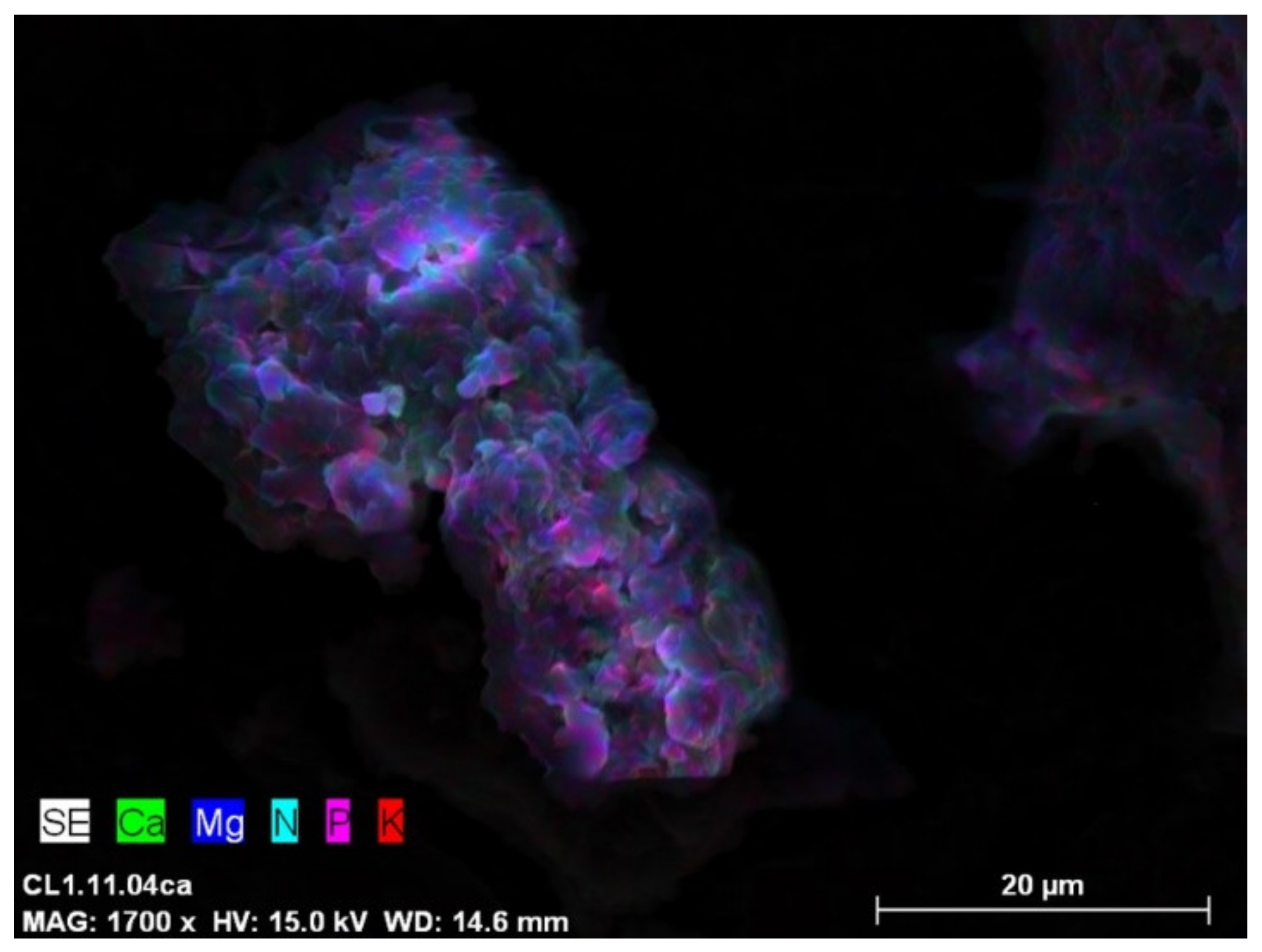 Sustainability 13 02175 g004 Sustainability 13 02175 g004