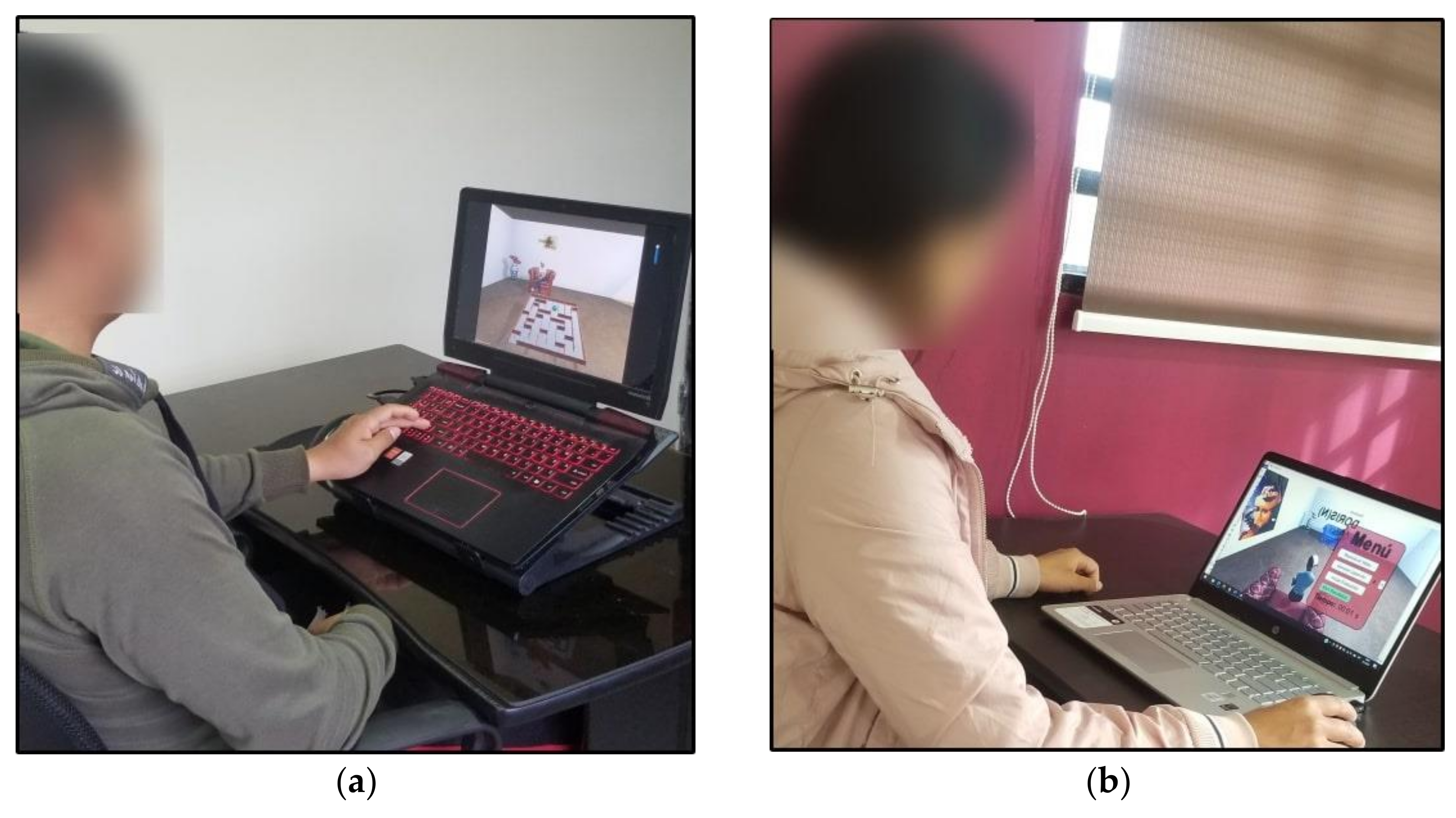 Sustainability 13 02183 g011