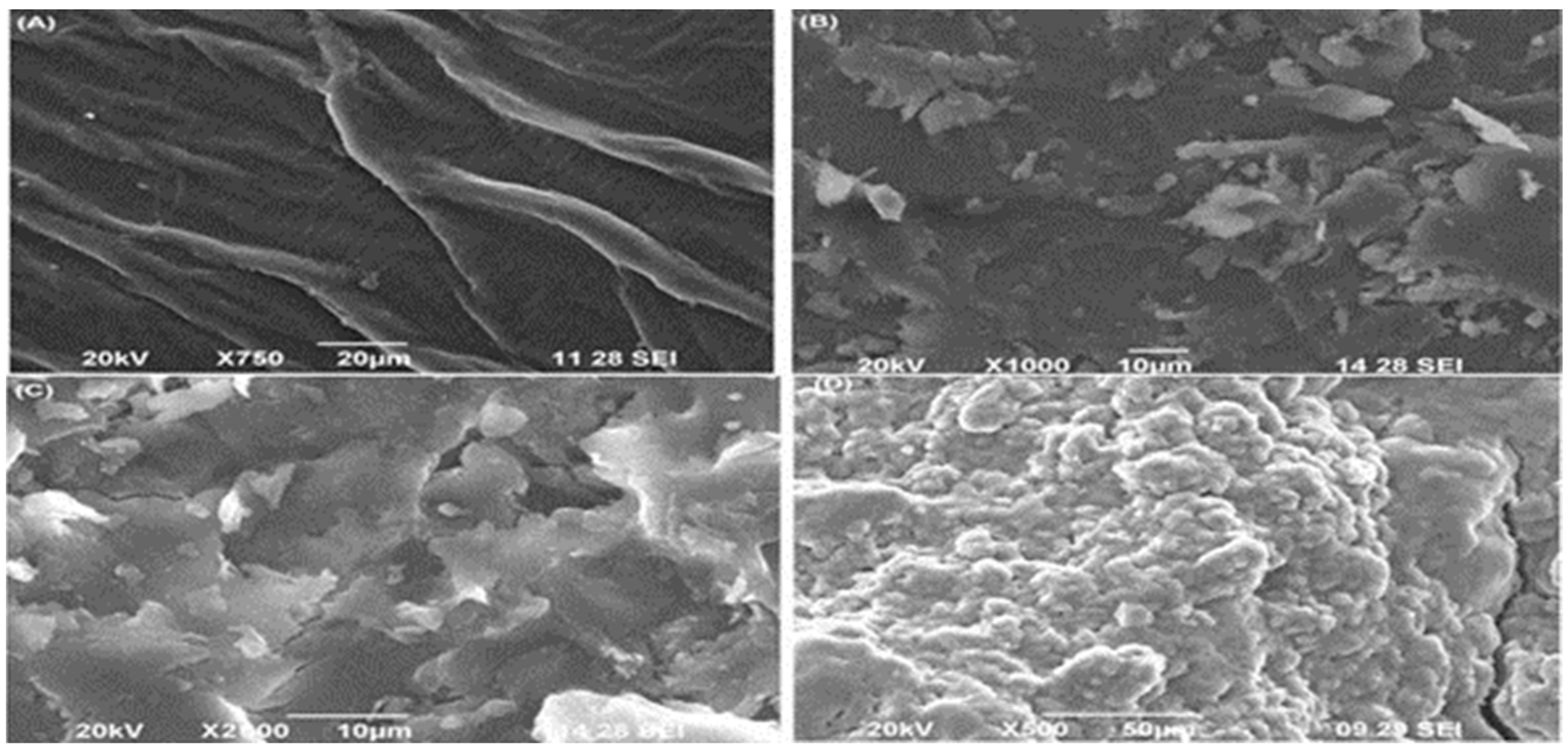 Sustainability 13 02191 g001