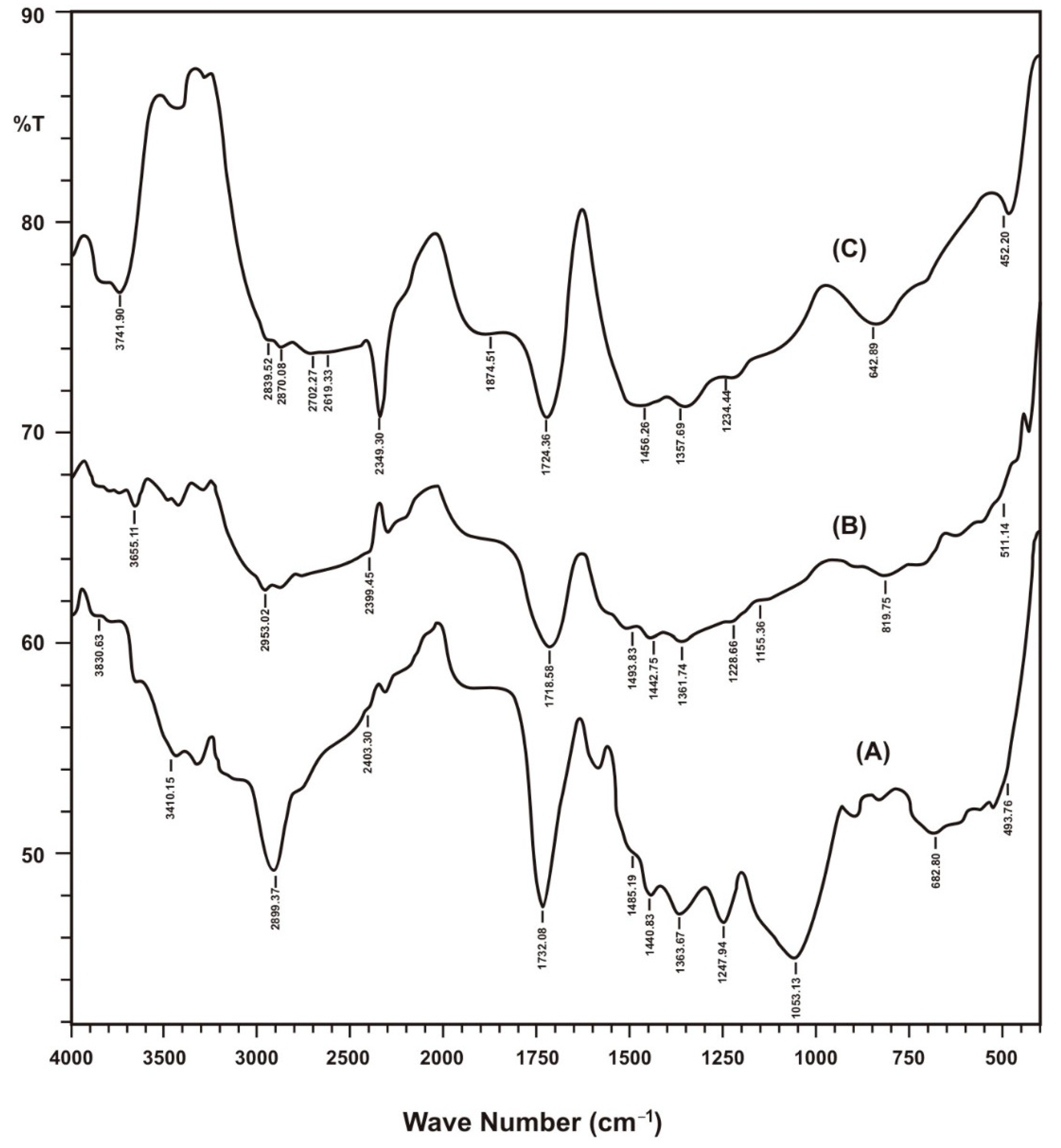 Sustainability 13 02191 g002