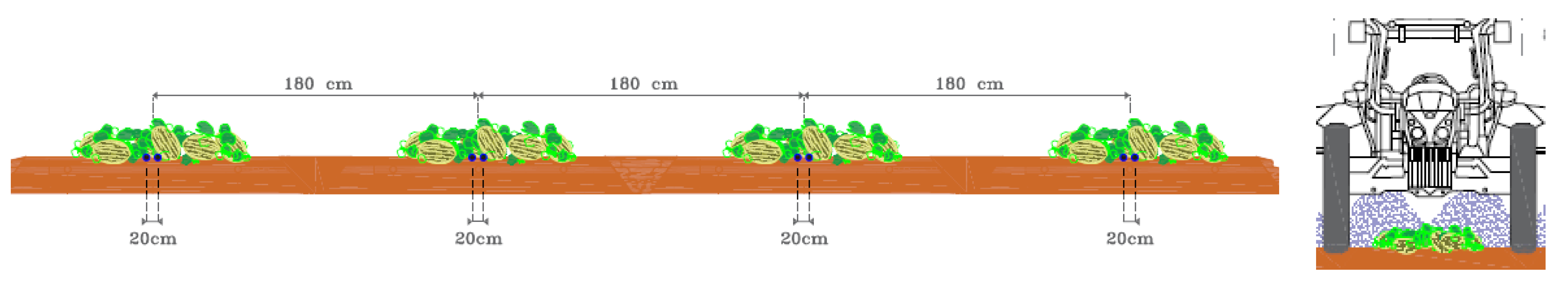 Sustainability 13 02210 g003
