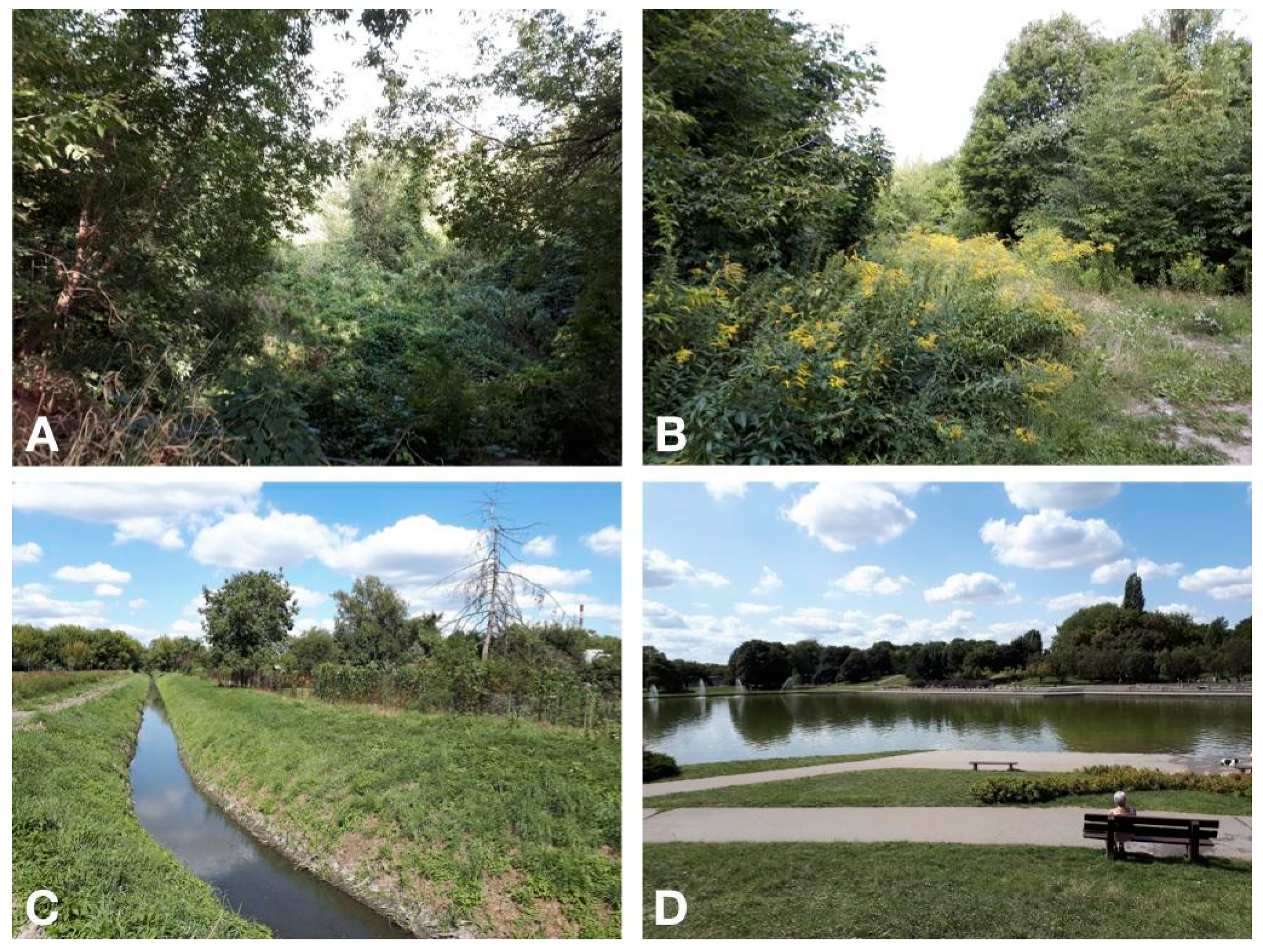 Sustainability 13 02212 g002