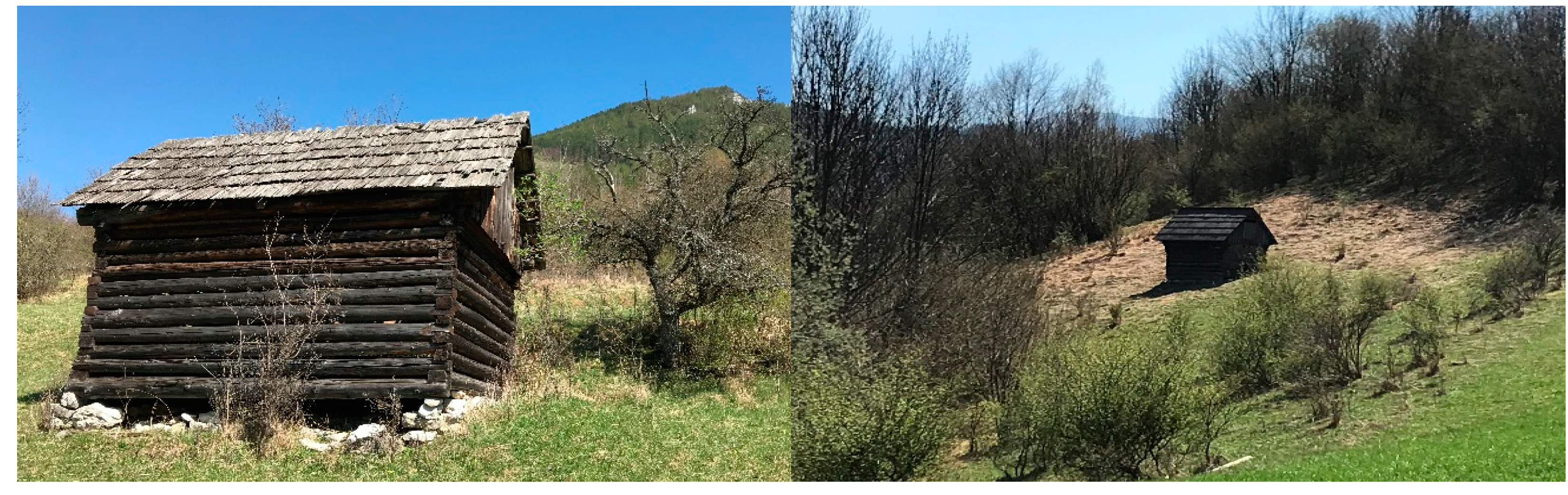 Sustainability 13 02227 g004