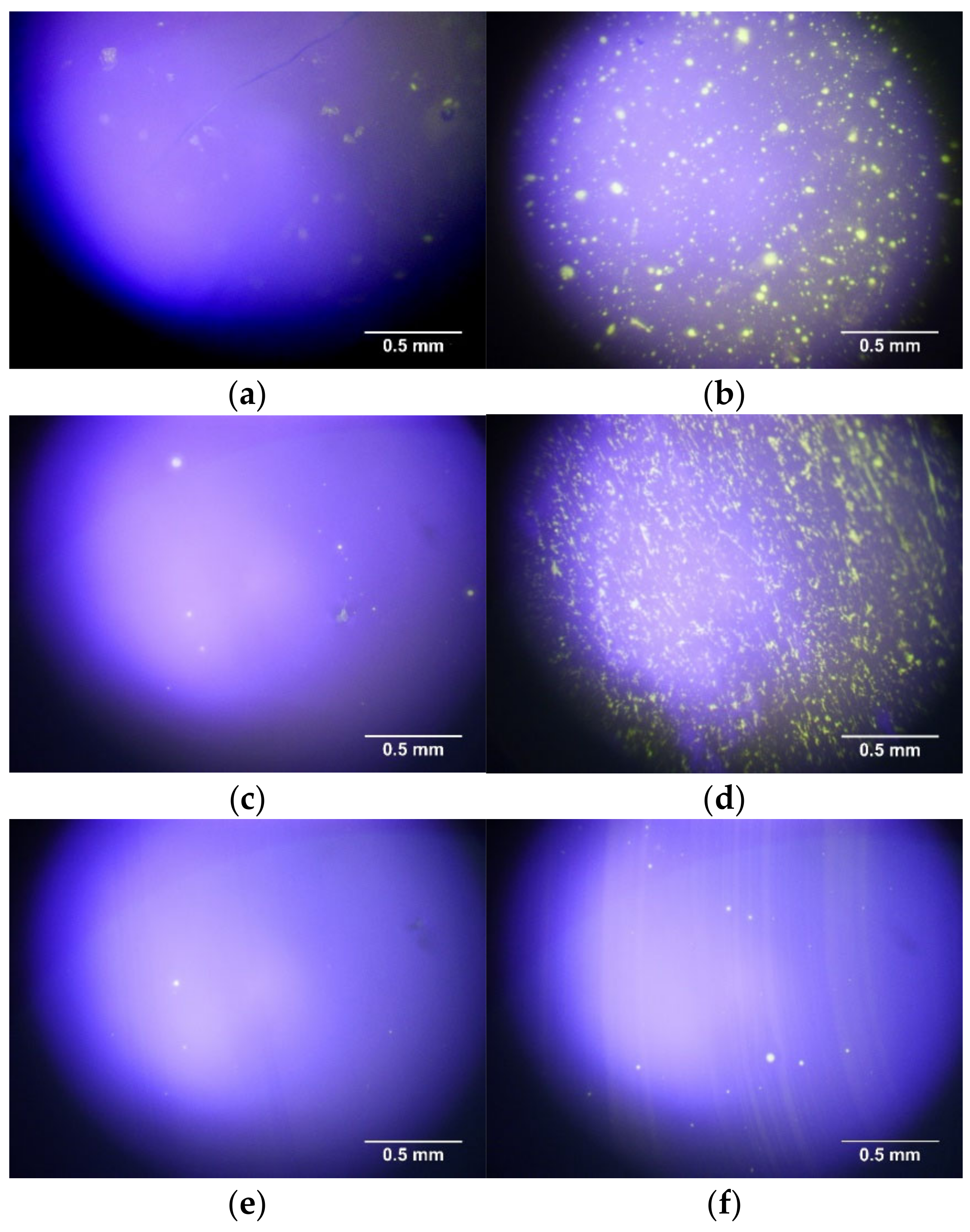 Sustainability 13 02258 g006