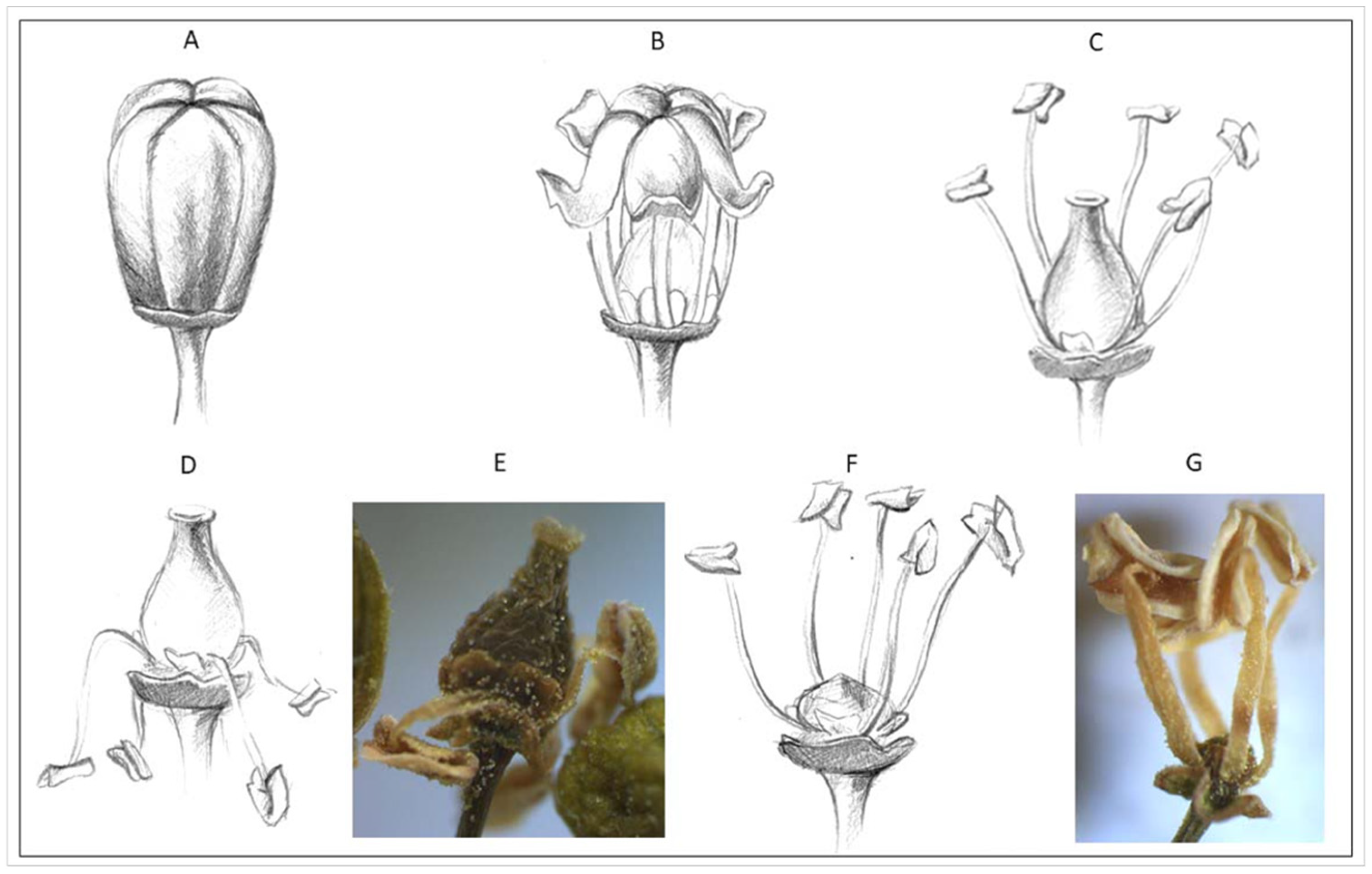 Sustainability 13 02287 g001 Sustainability 13 02287 g001