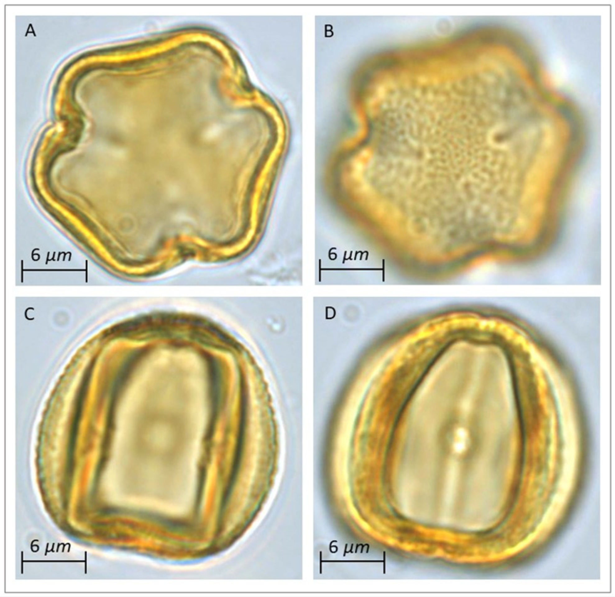 Sustainability 13 02287 g002 Sustainability 13 02287 g002