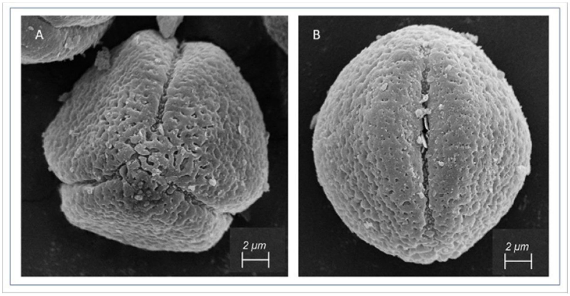 Sustainability 13 02287 g003 Sustainability 13 02287 g003