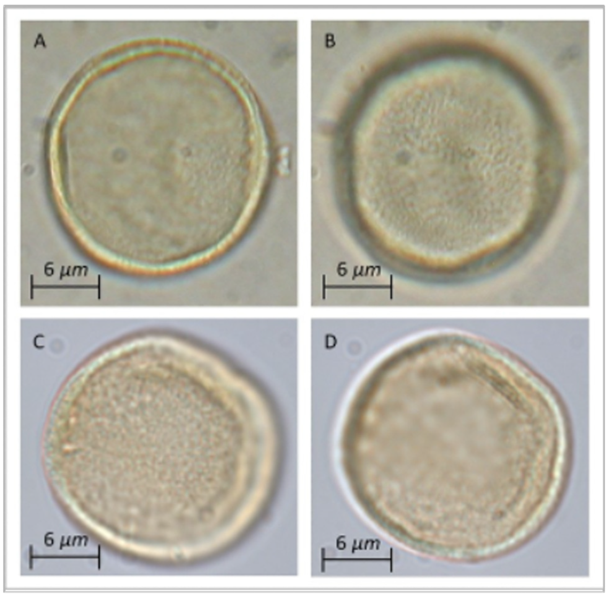 Sustainability 13 02287 g004 Sustainability 13 02287 g004