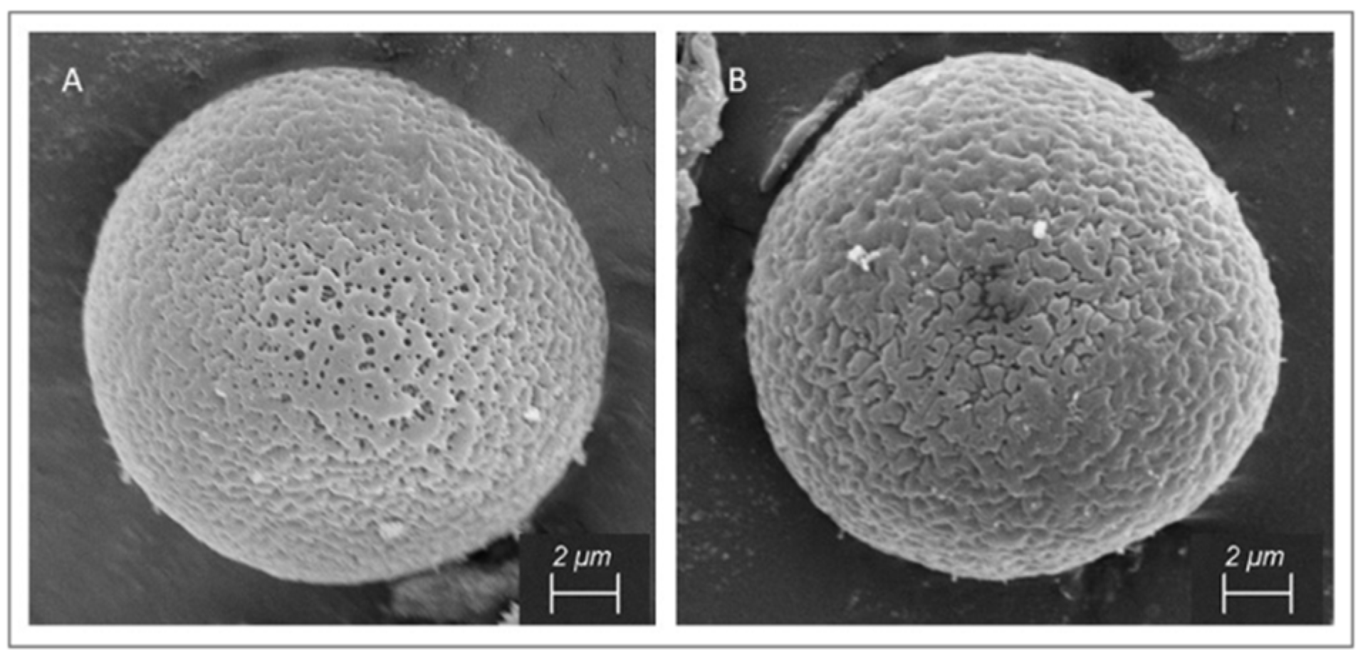Sustainability 13 02287 g005 Sustainability 13 02287 g005